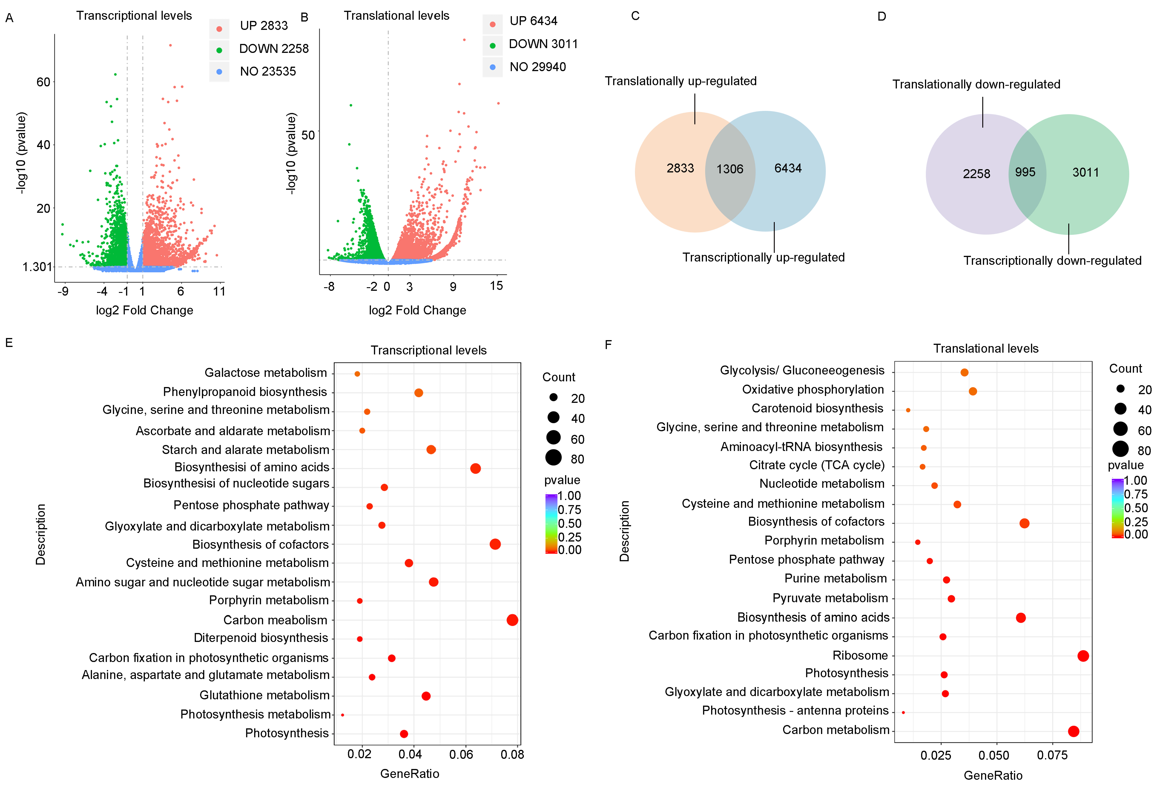 Viruses 16 01866 g002