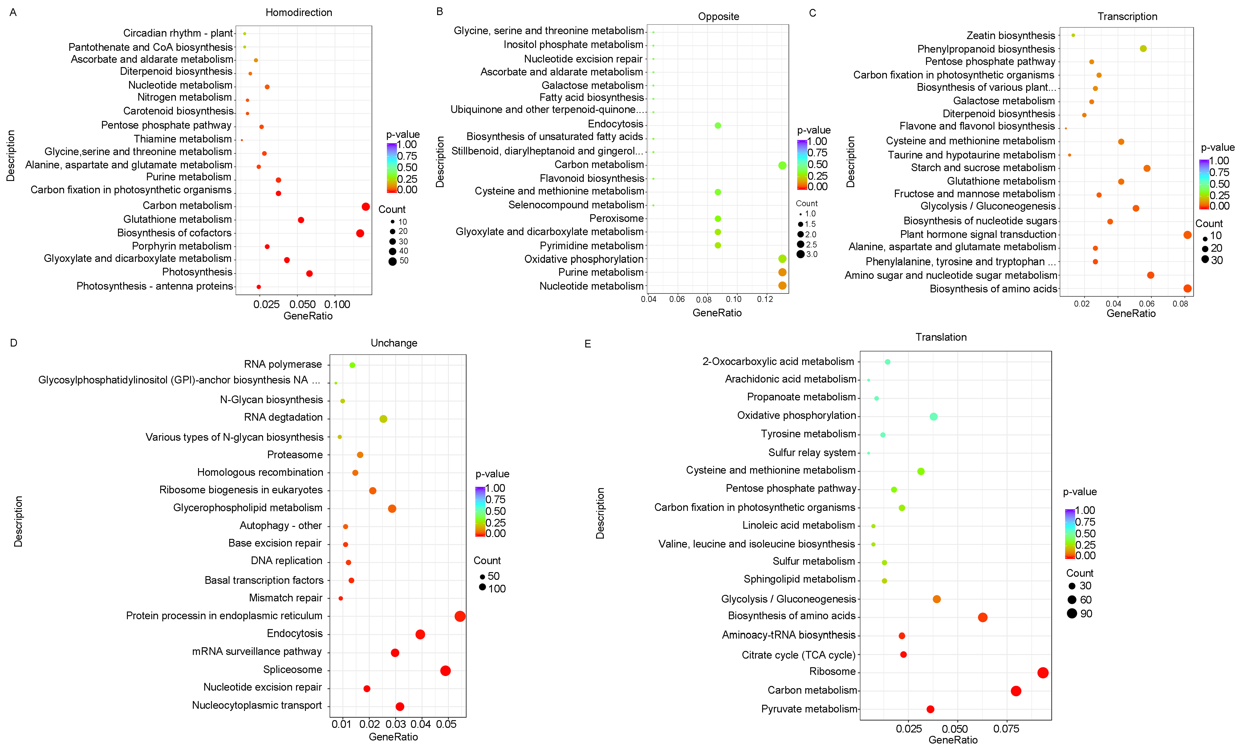 Viruses 16 01866 g005