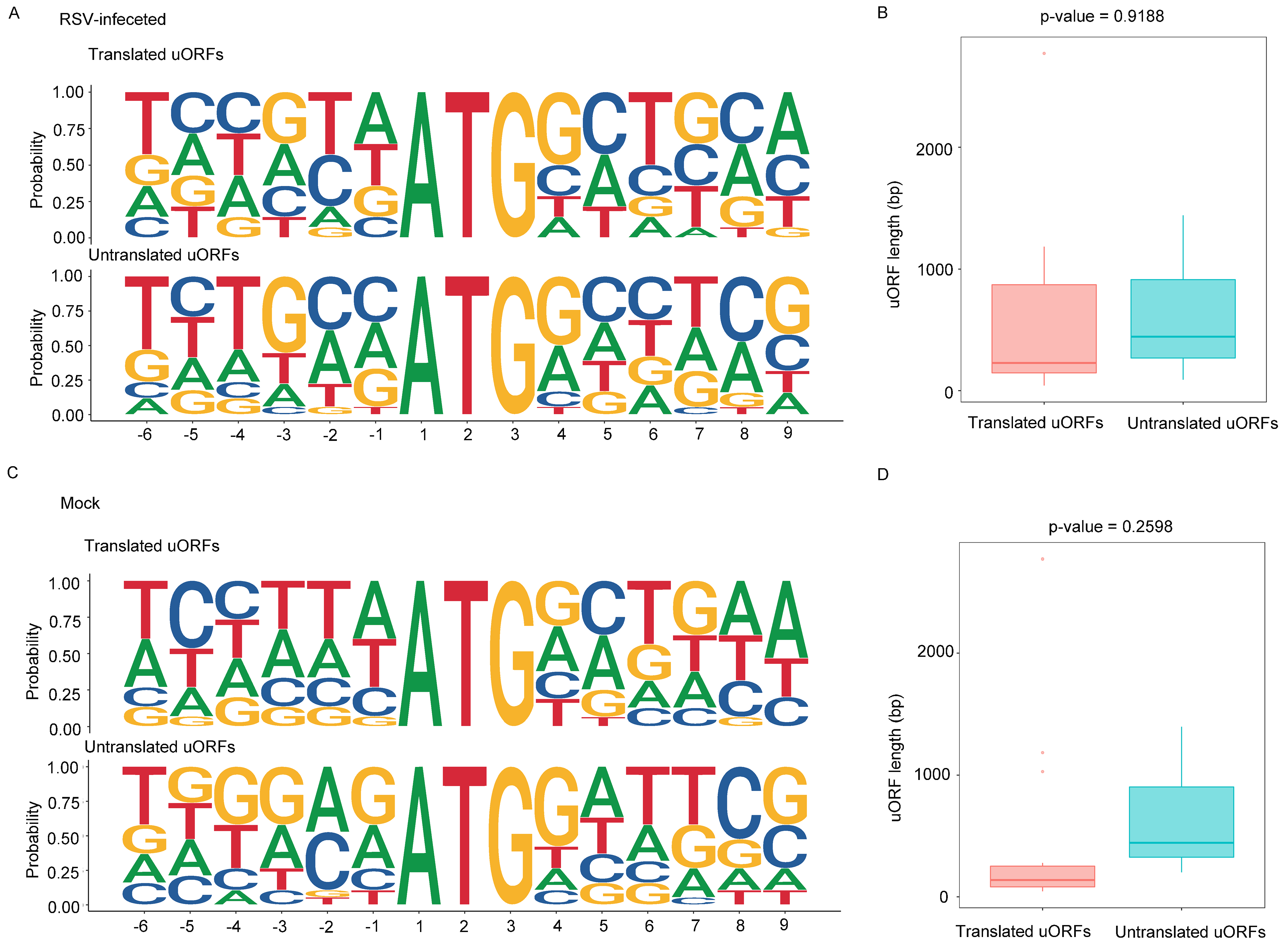 Viruses 16 01866 g006