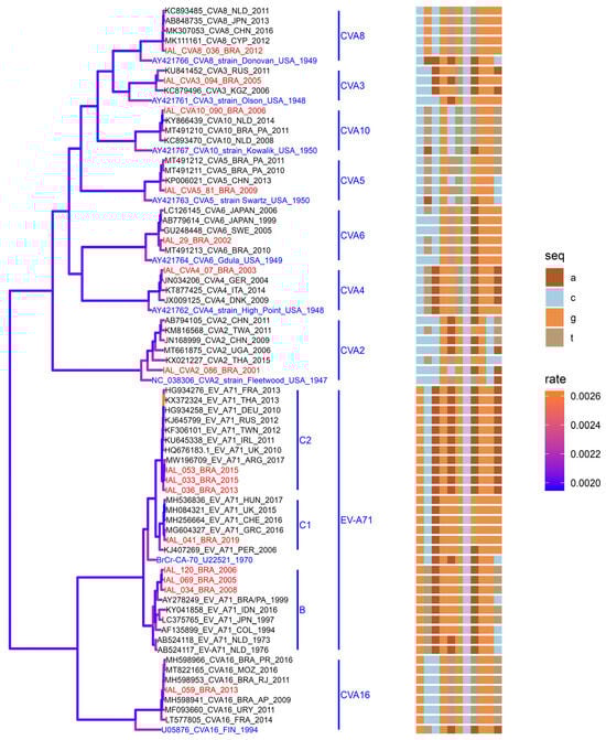 Viruses 16 01875 g003