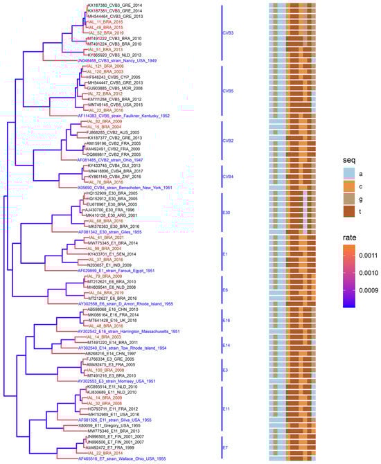 Viruses 16 01875 g004