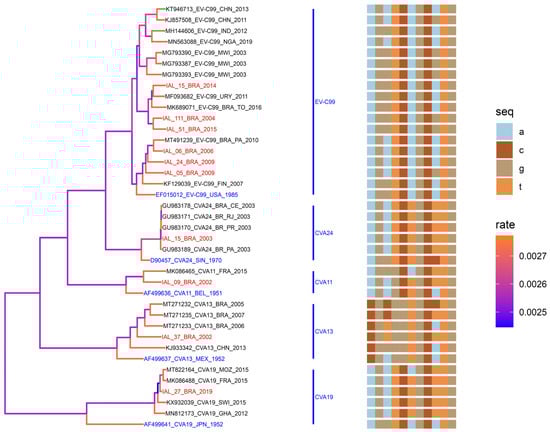 Viruses 16 01875 g005