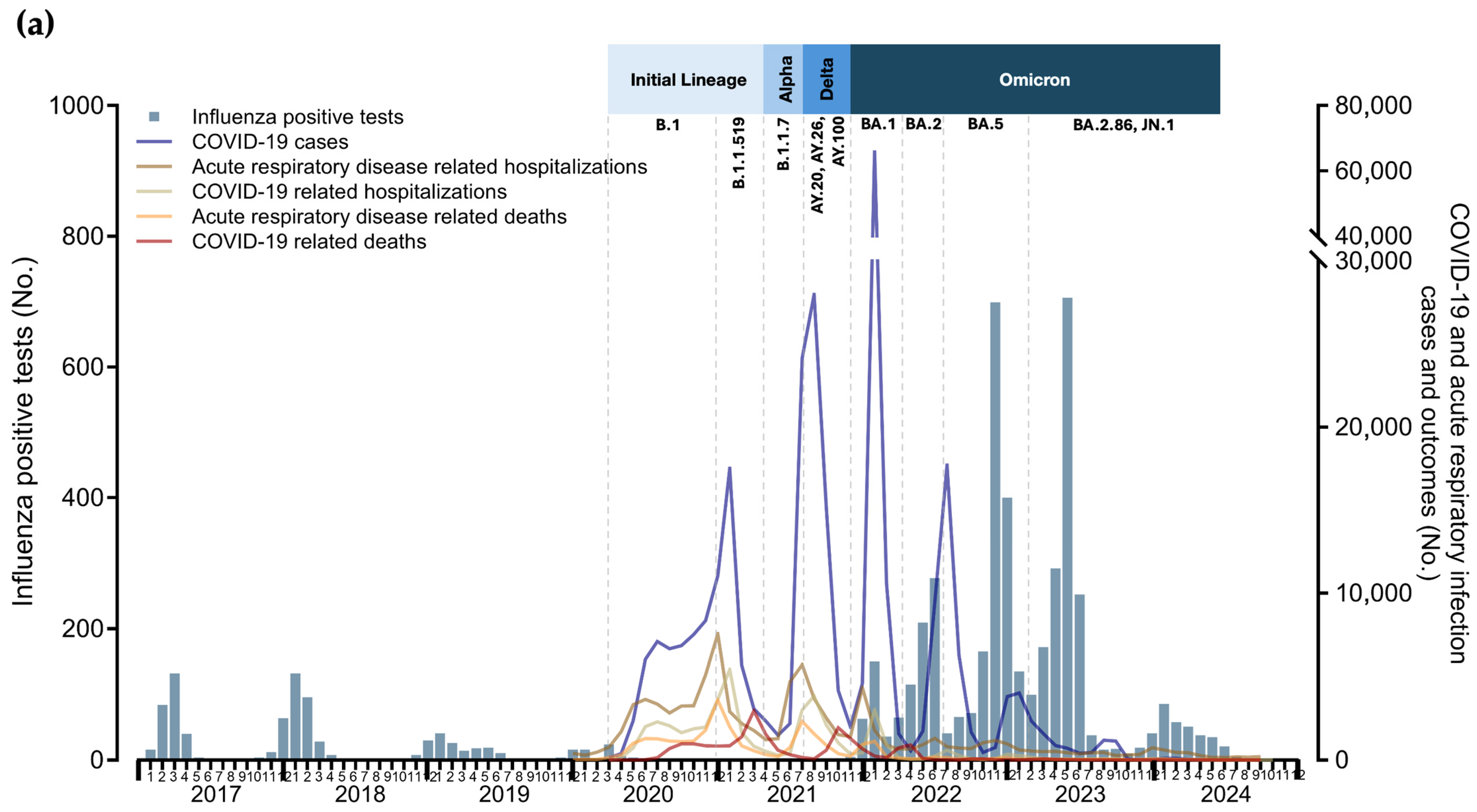 Viruses 16 01892 g003a