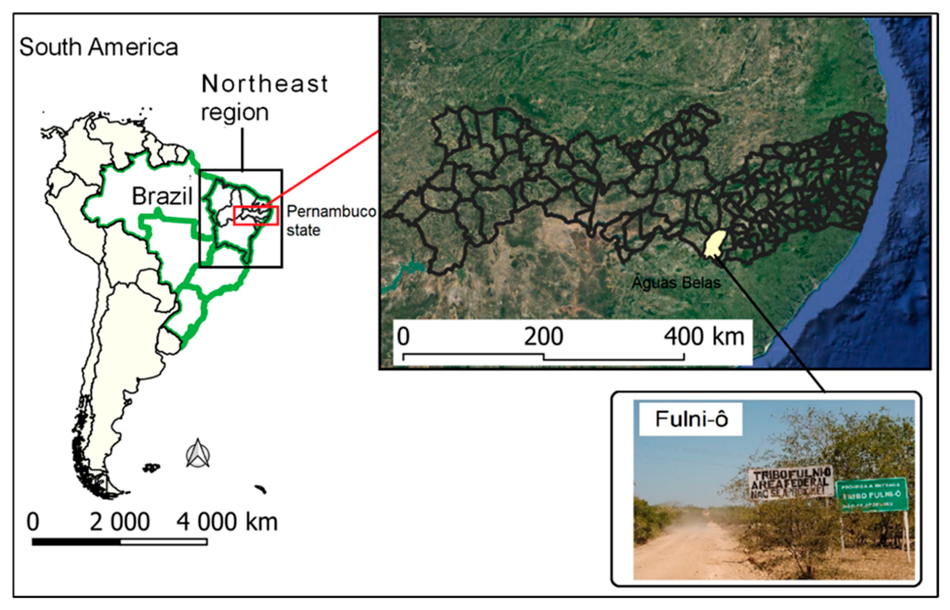 Viruses 16 01902 g001