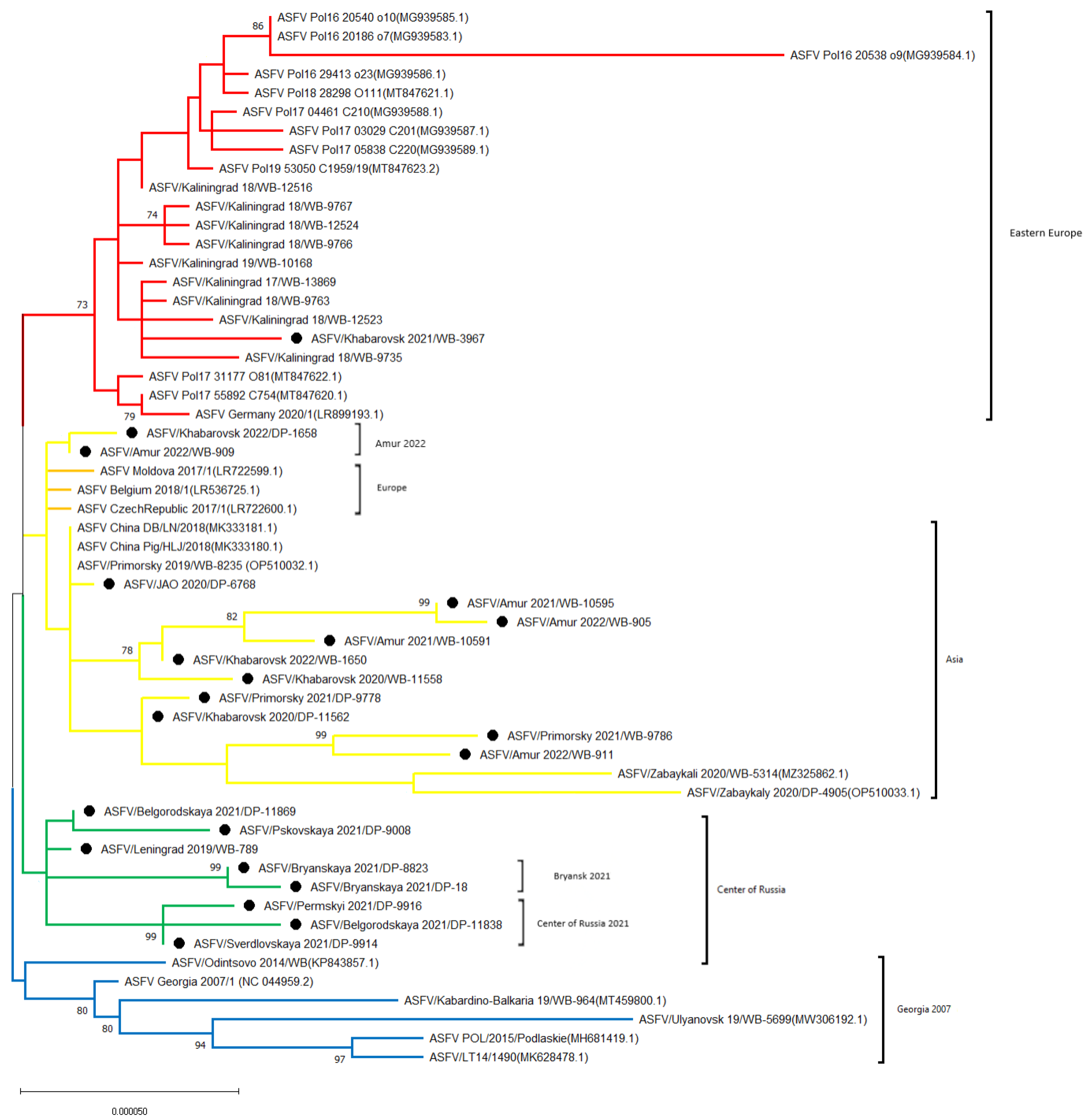 Viruses 16 01907 g004