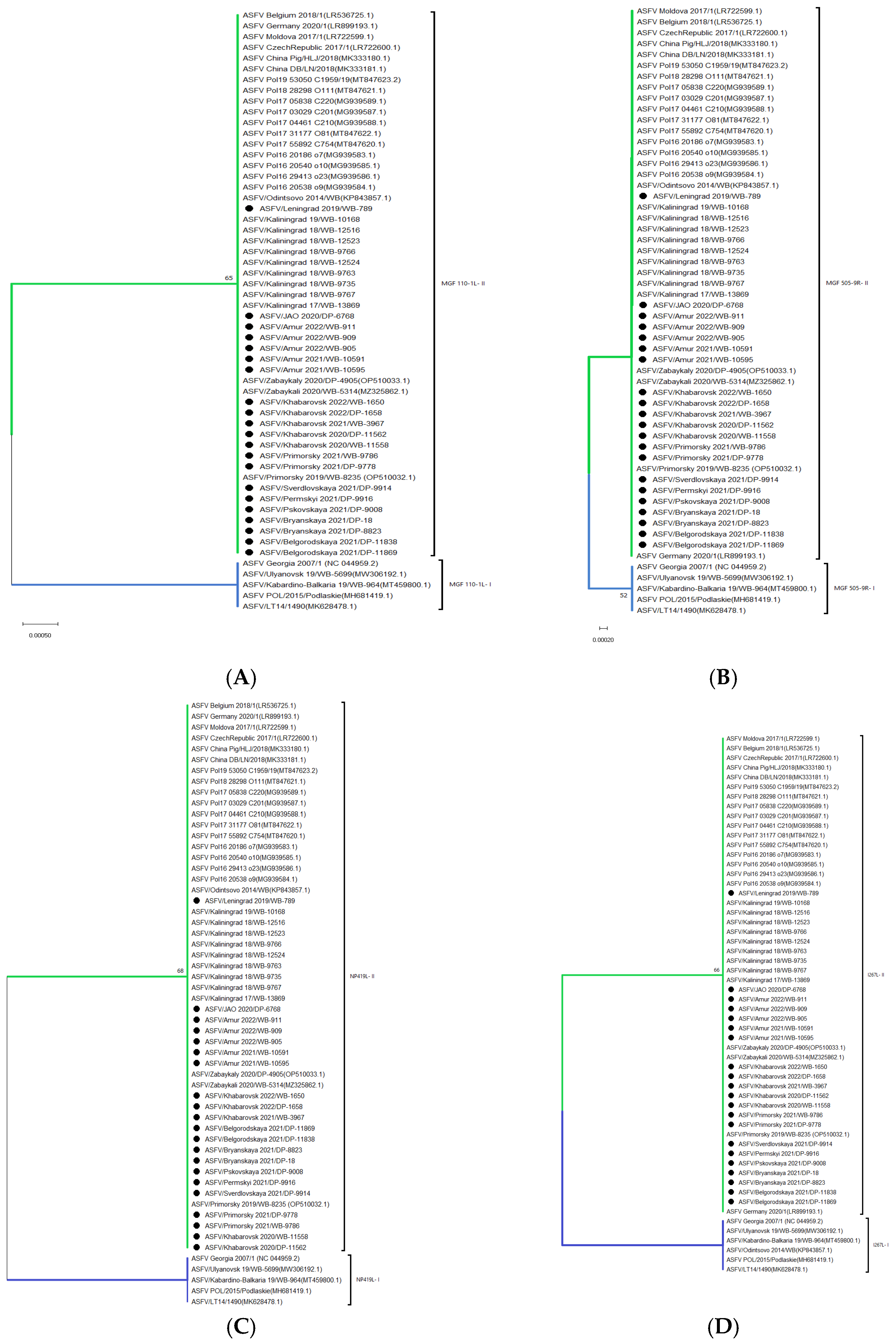 Viruses 16 01907 g005
