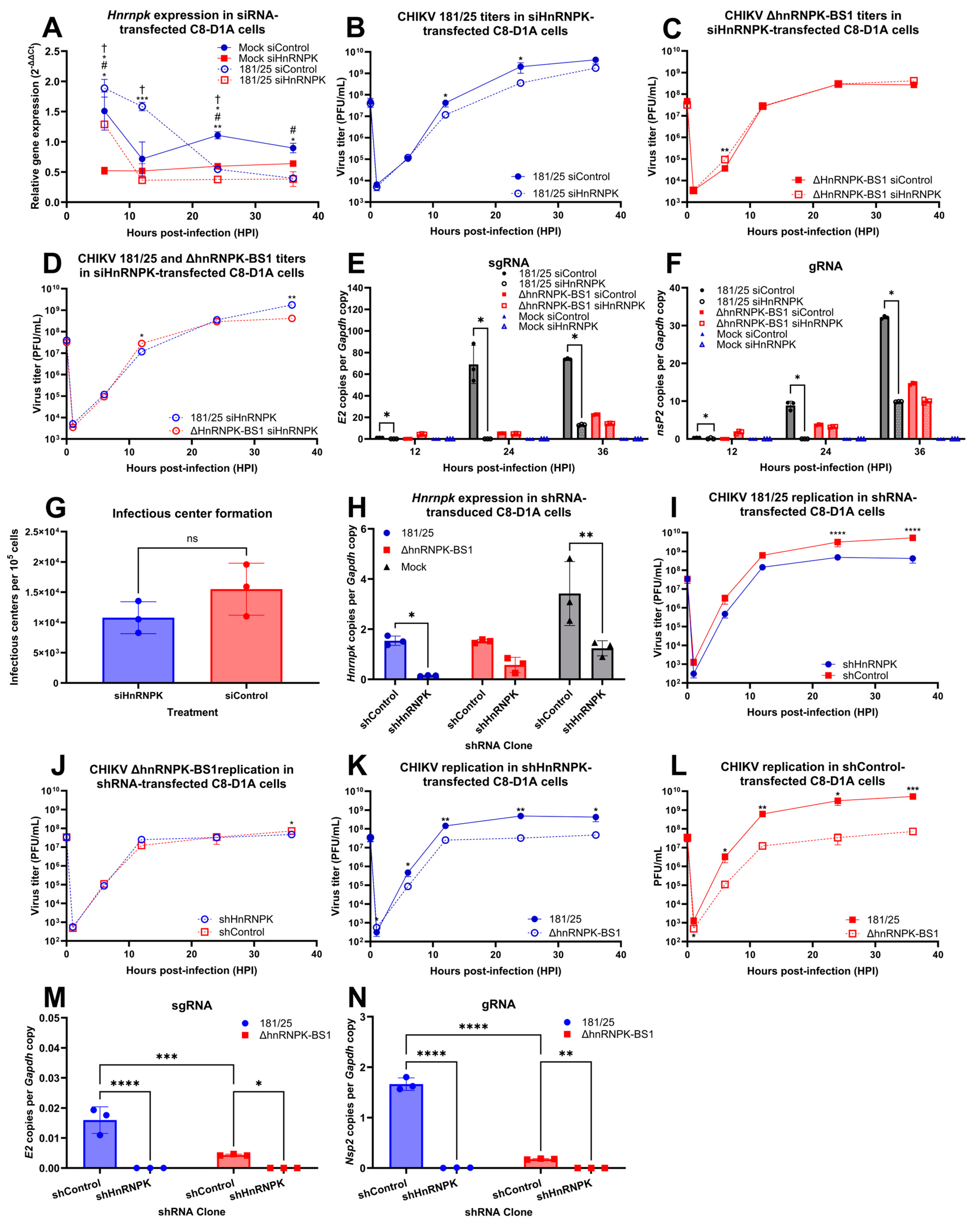 Viruses 16 01918 g004