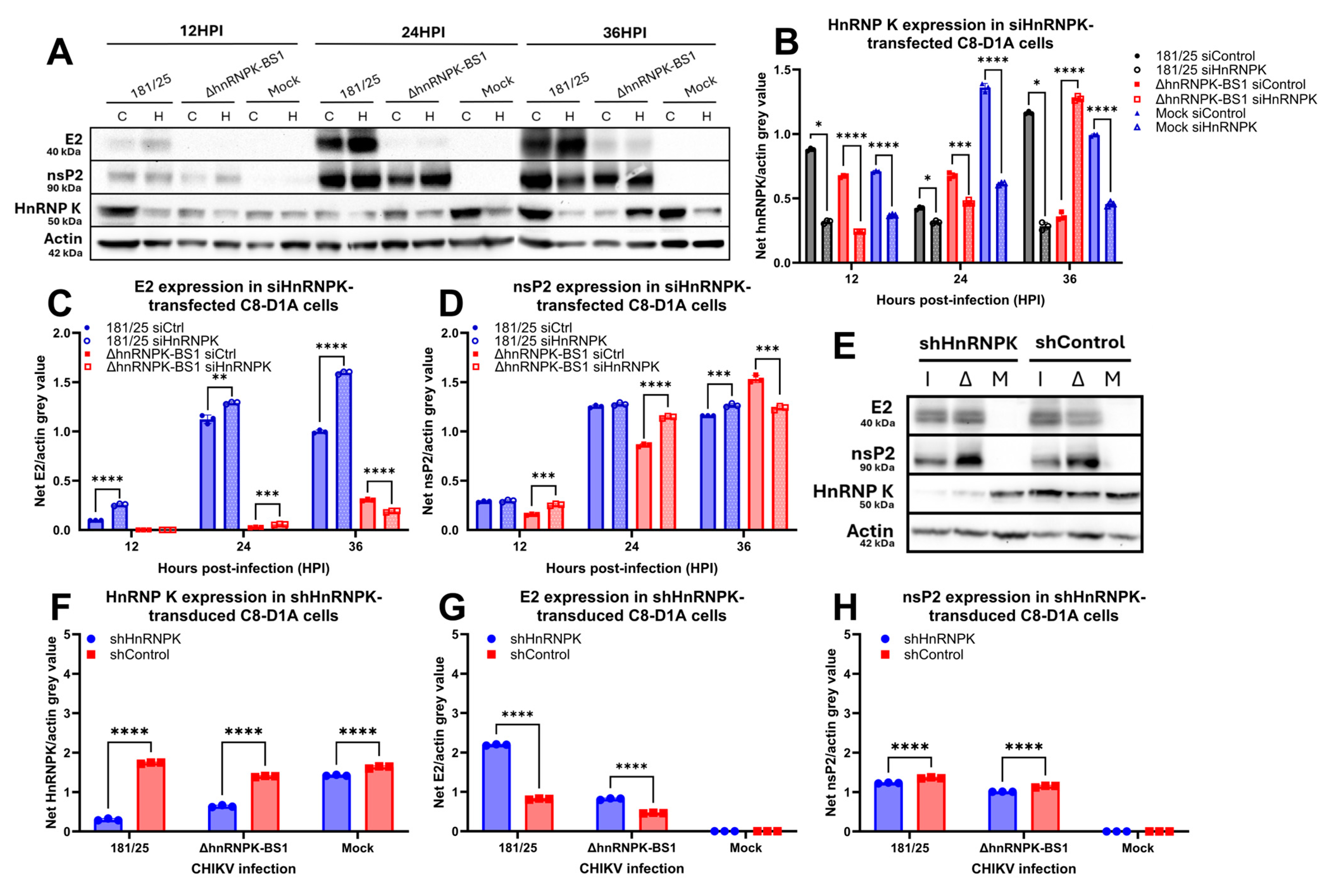 Viruses 16 01918 g005