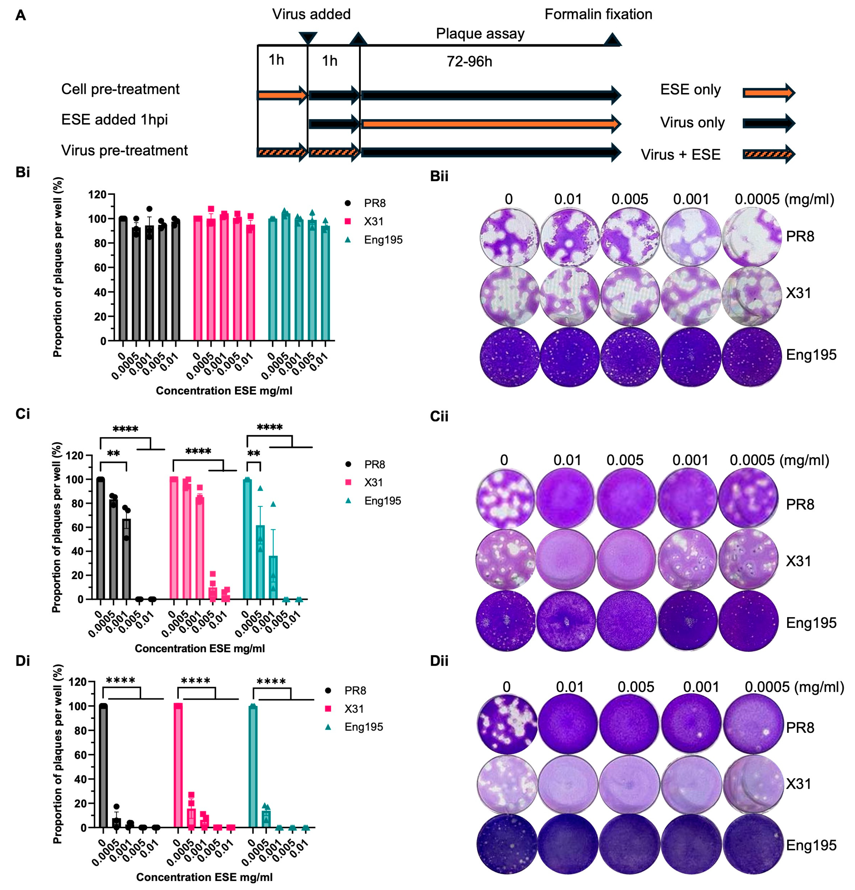 Viruses 16 01919 g001