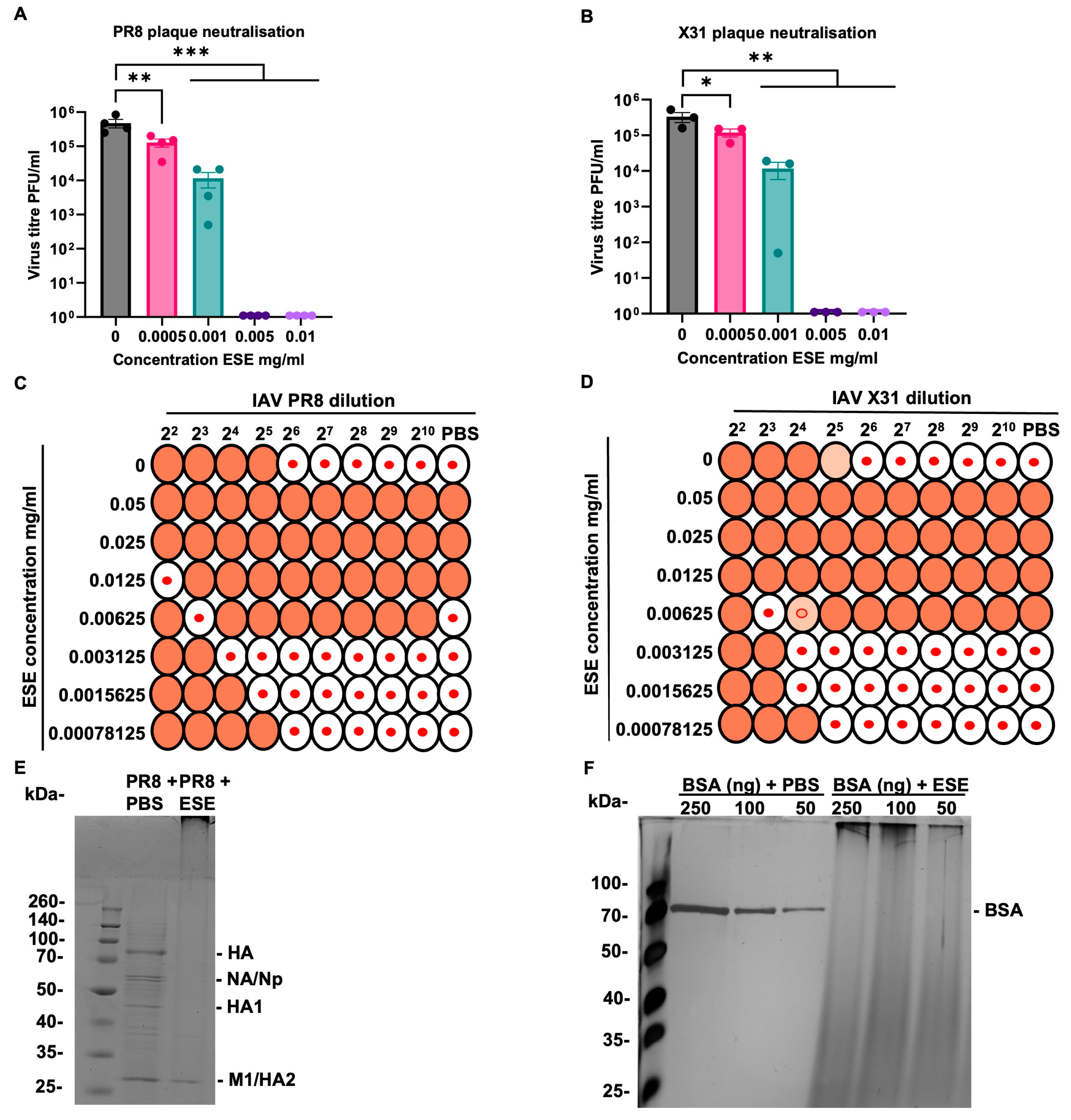 Viruses 16 01919 g002