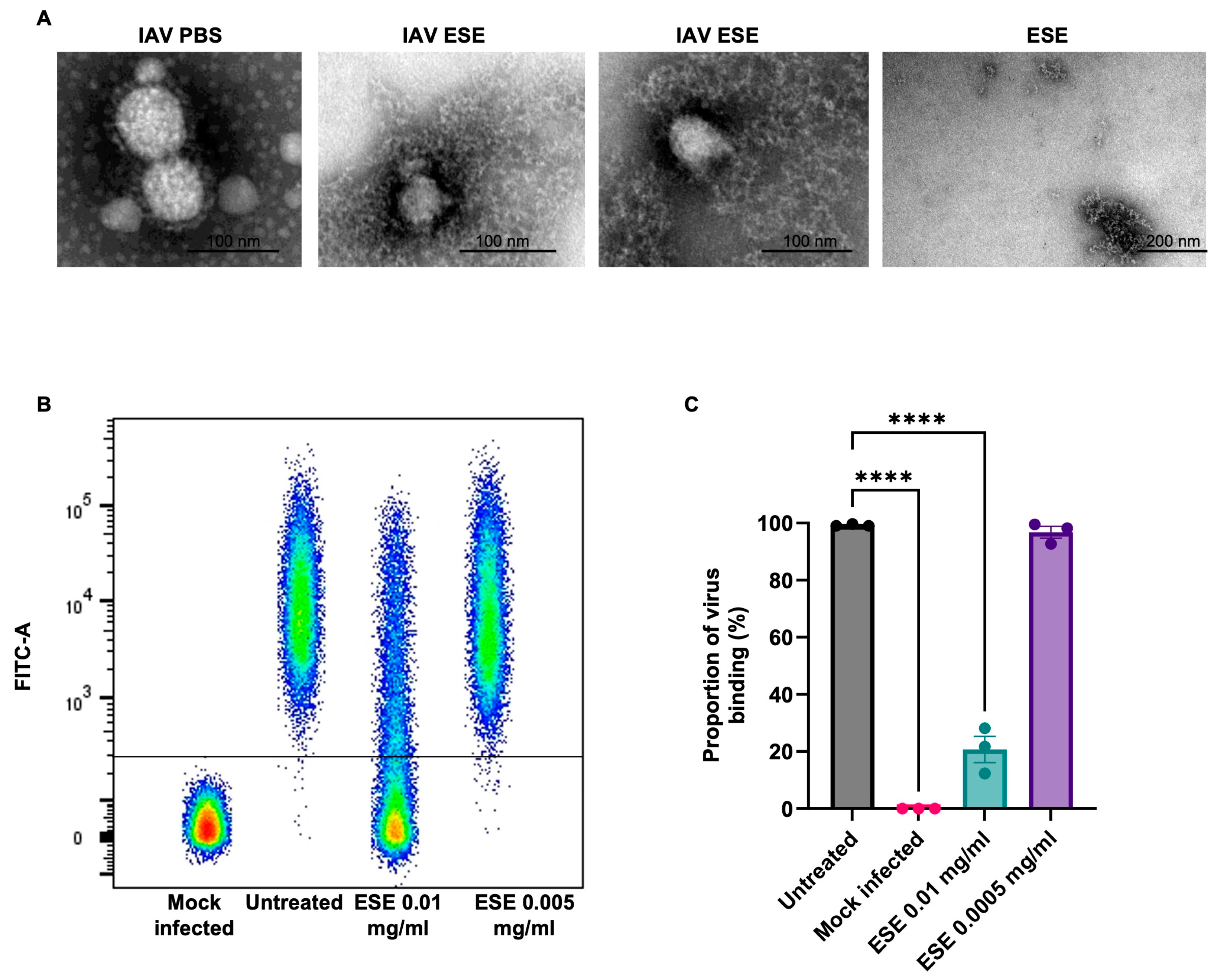 Viruses 16 01919 g003