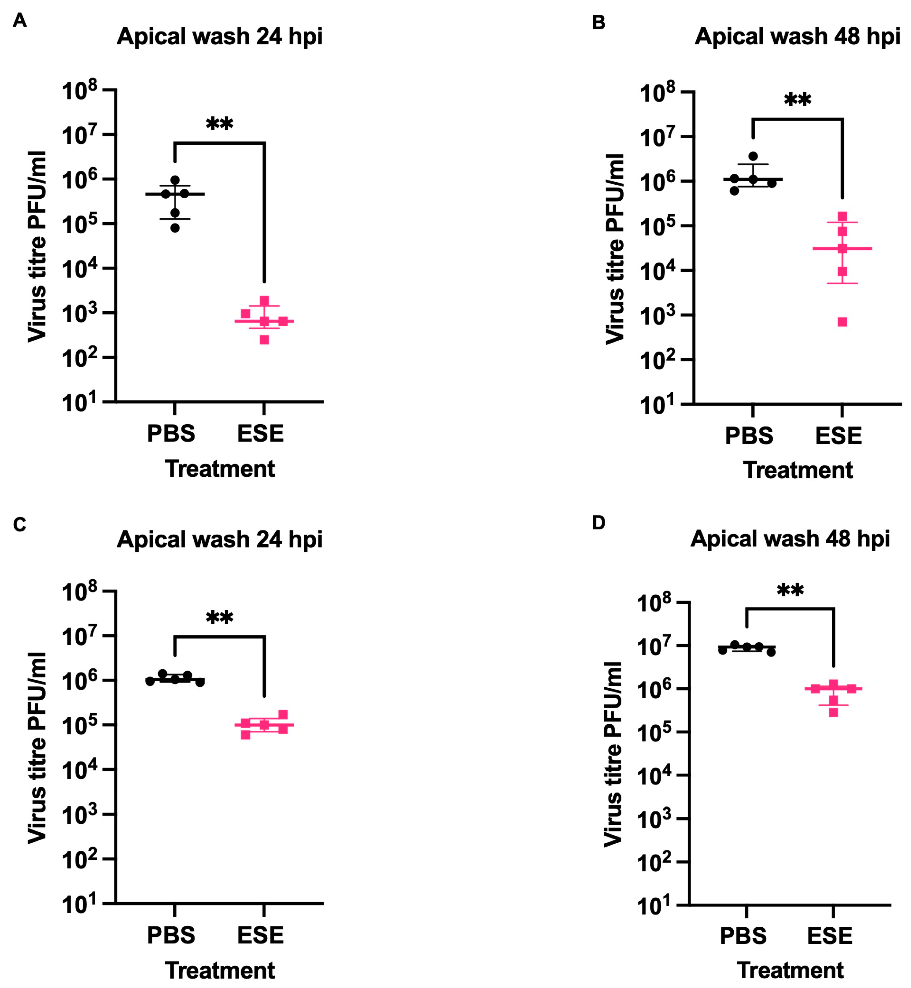 Viruses 16 01919 g007
