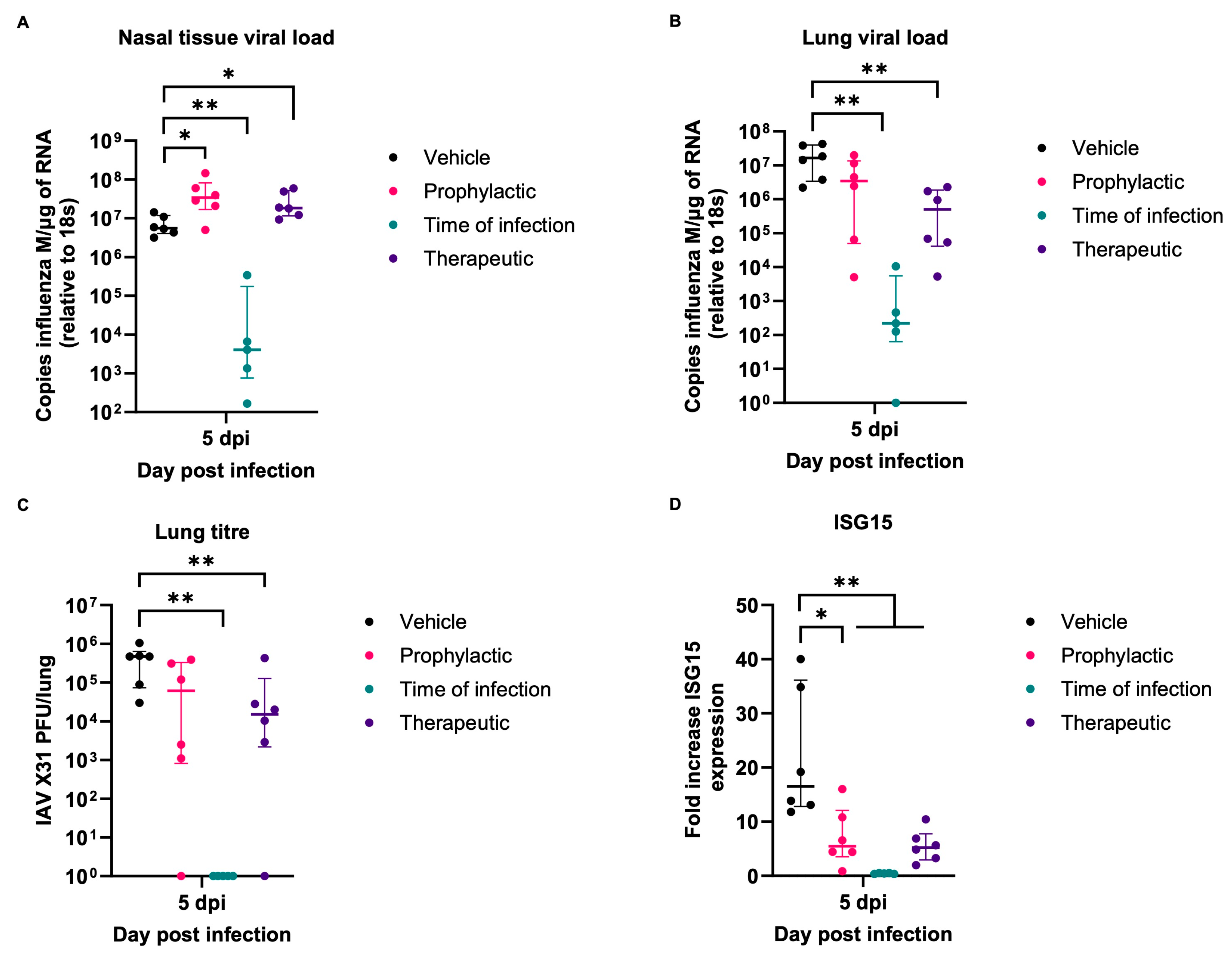 Viruses 16 01919 g009