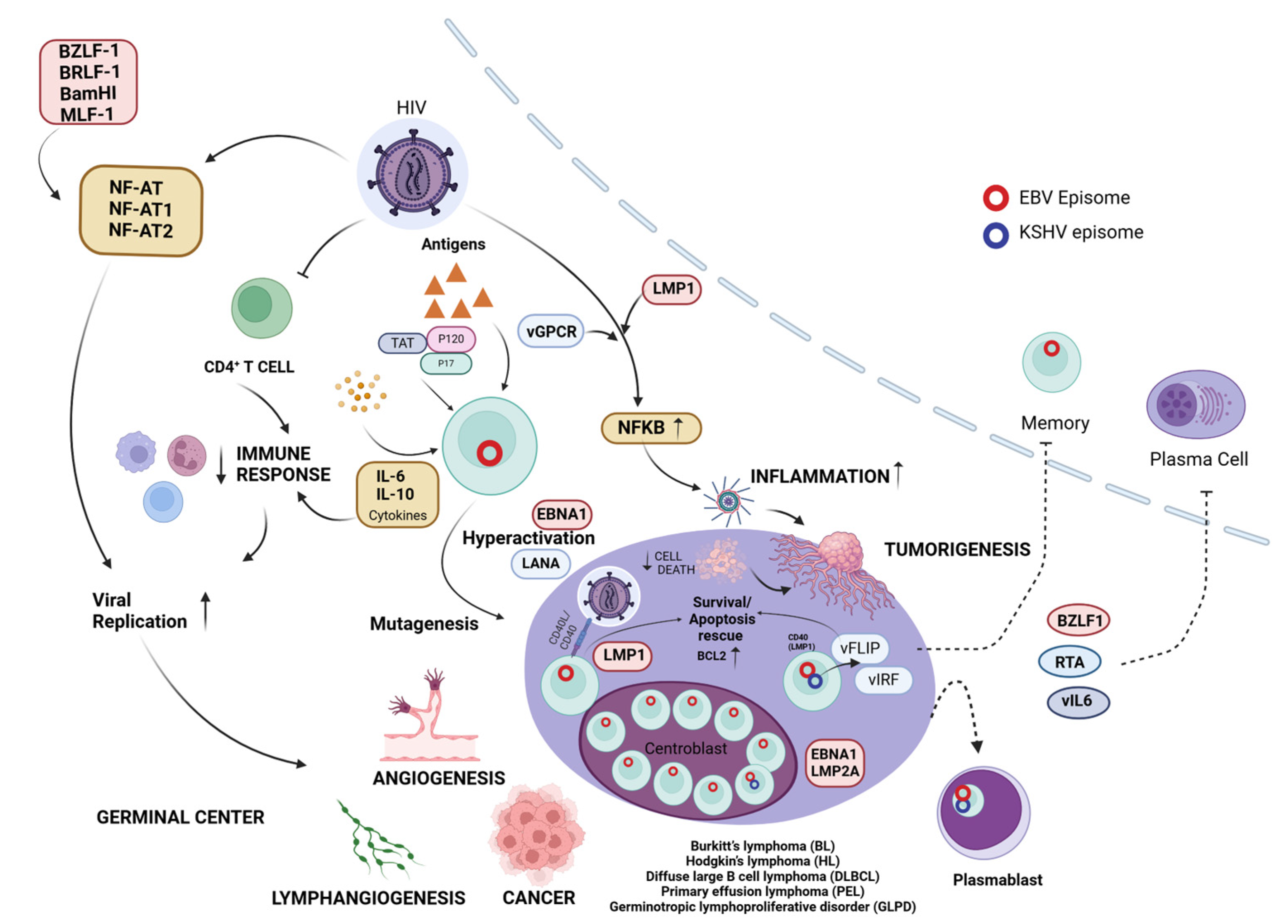 Viruses 16 01928 g006