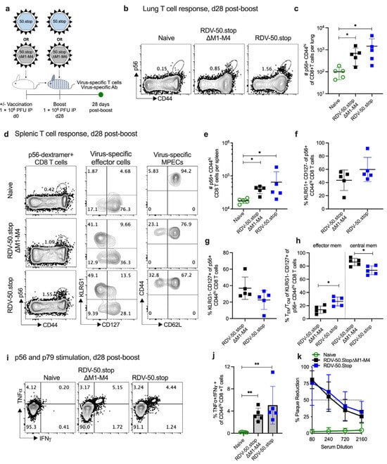 Viruses 16 01930 g001