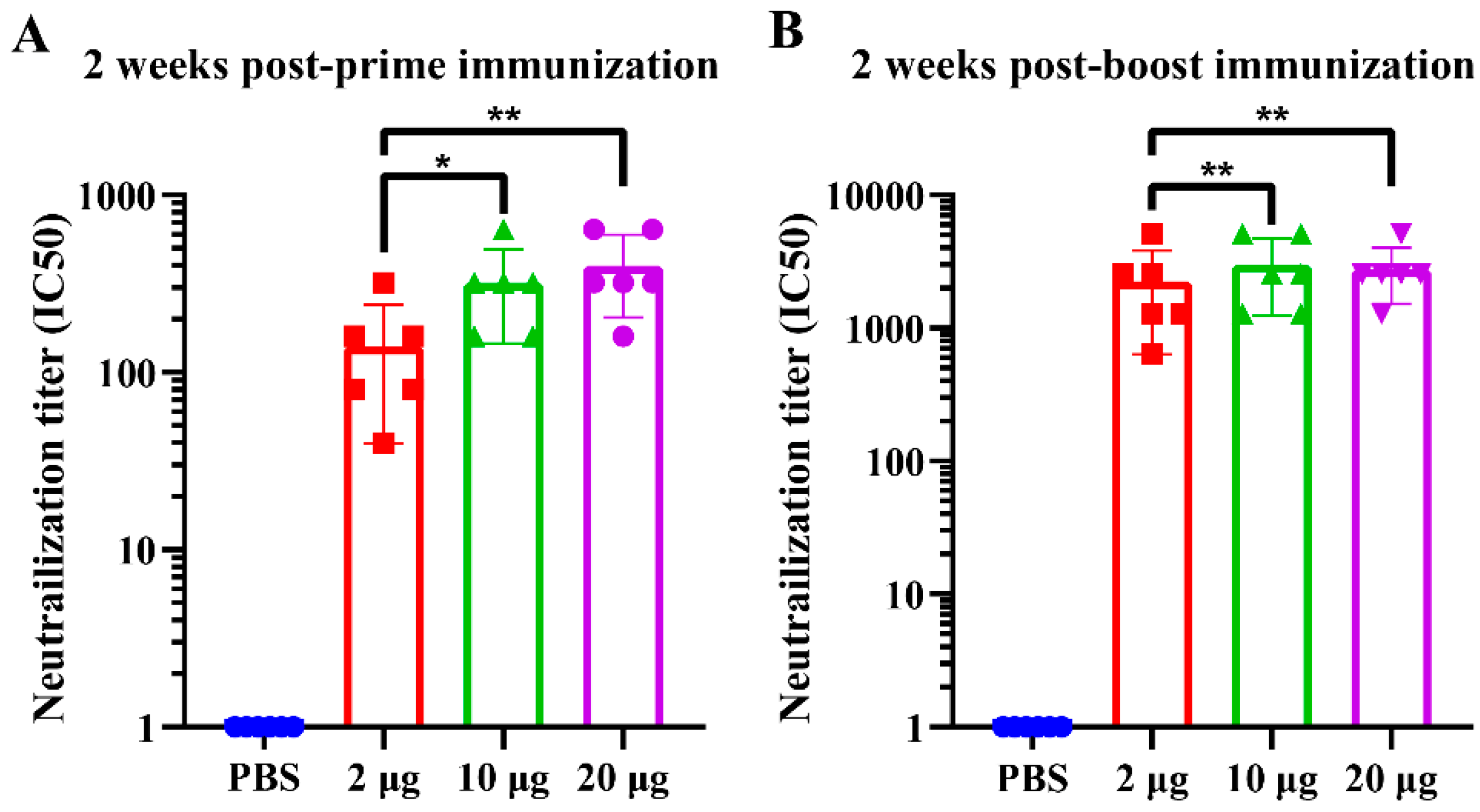 Viruses 16 01932 g006