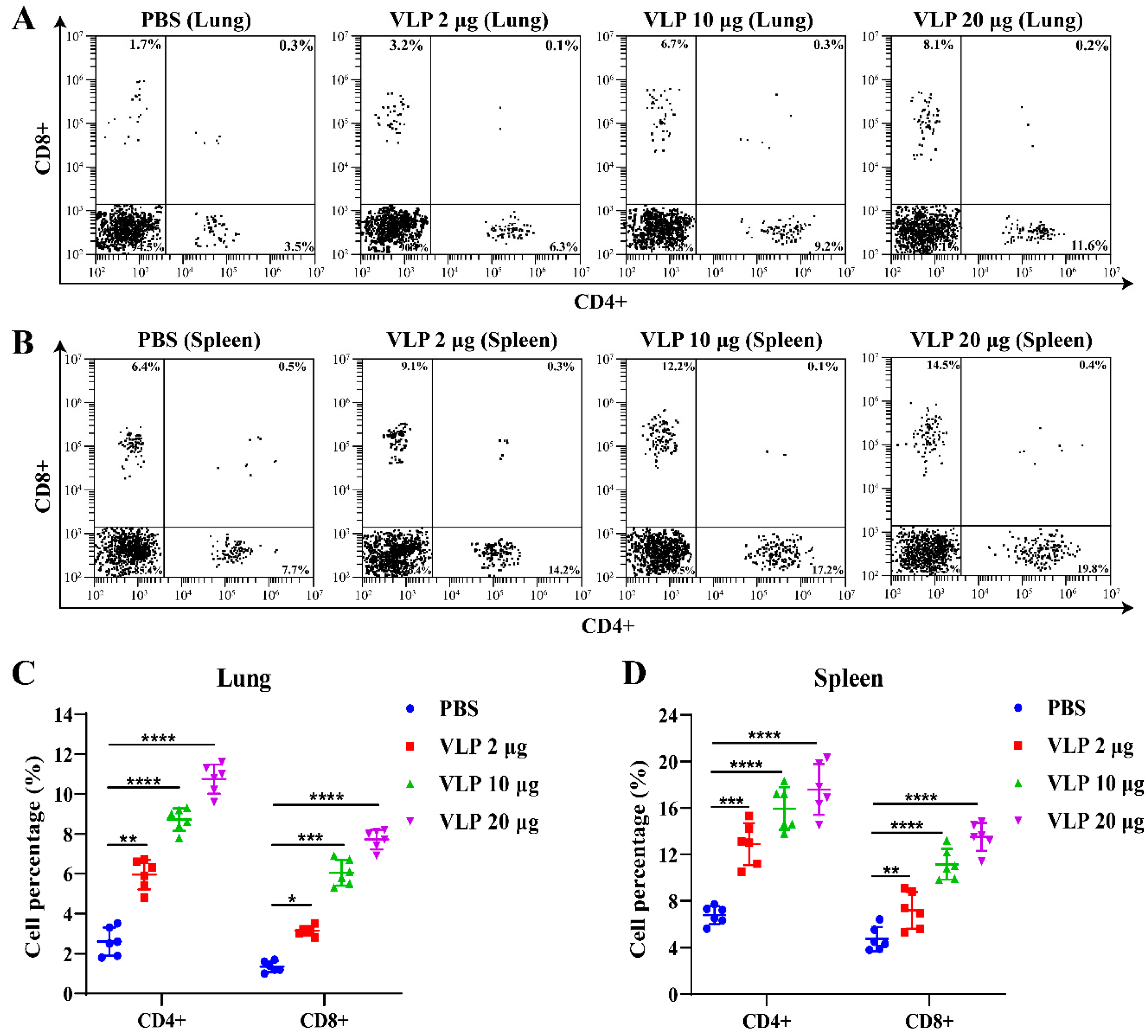 Viruses 16 01932 g007
