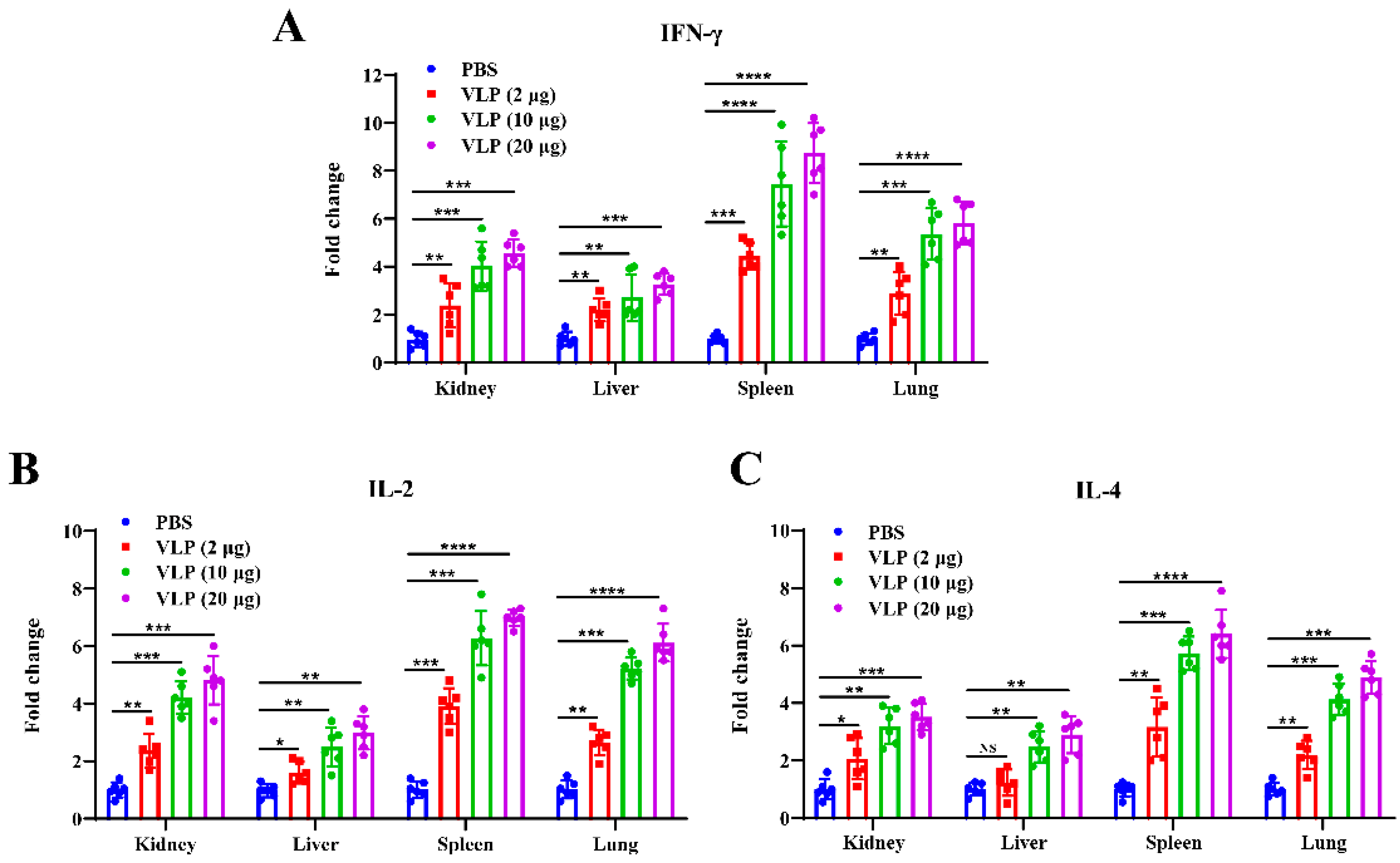 Viruses 16 01932 g008