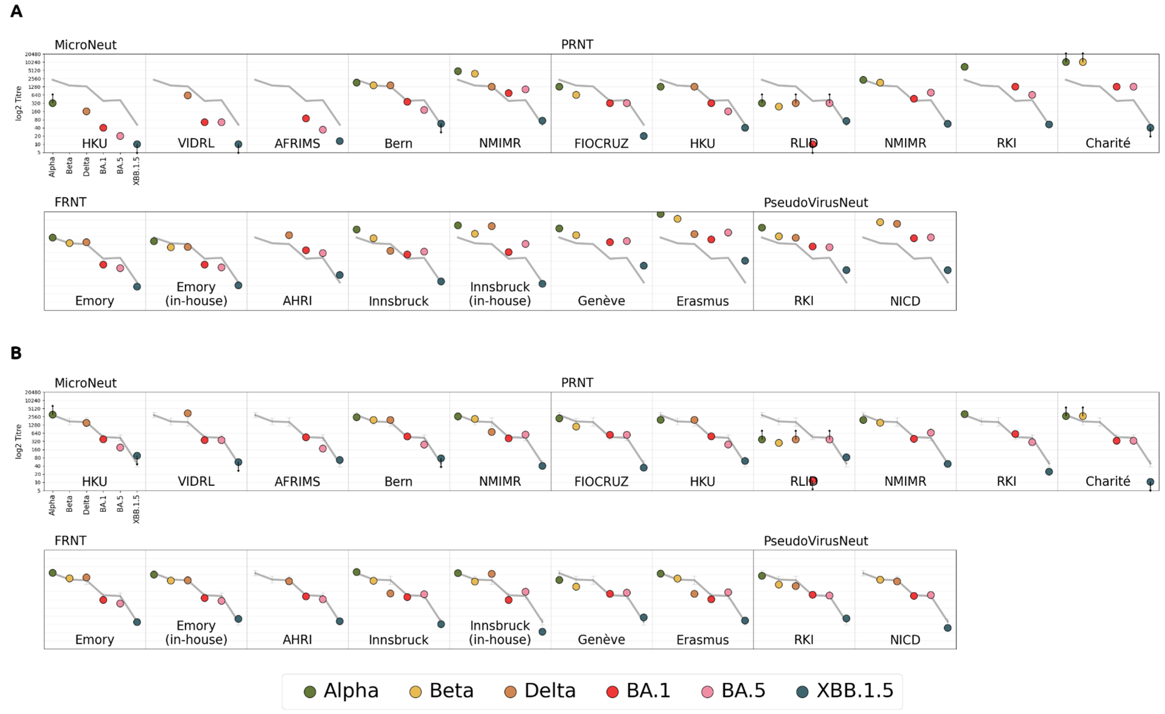 Viruses 16 01936 g001