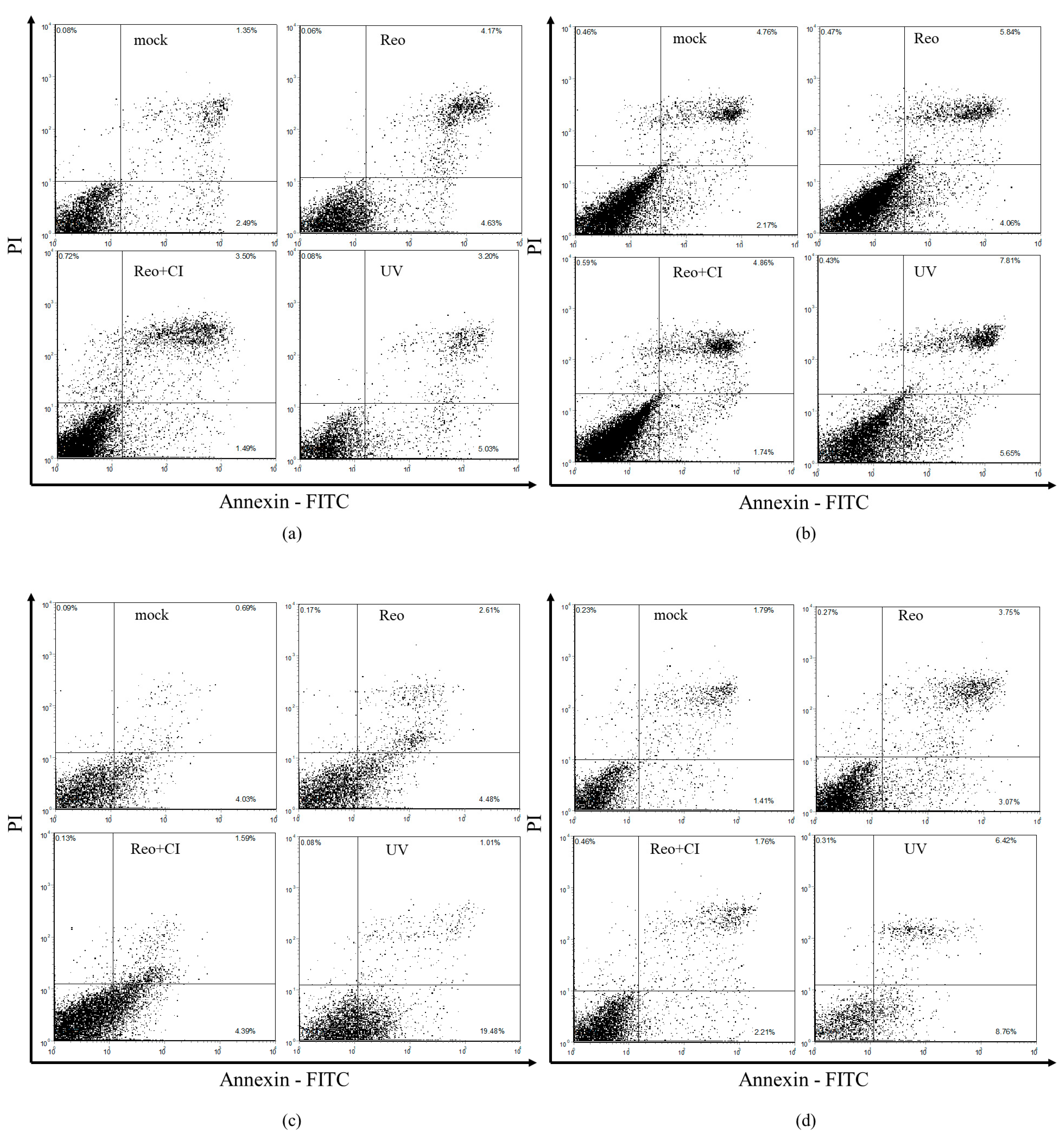 Viruses 16 01944 g013b Viruses 16 01944 g013b