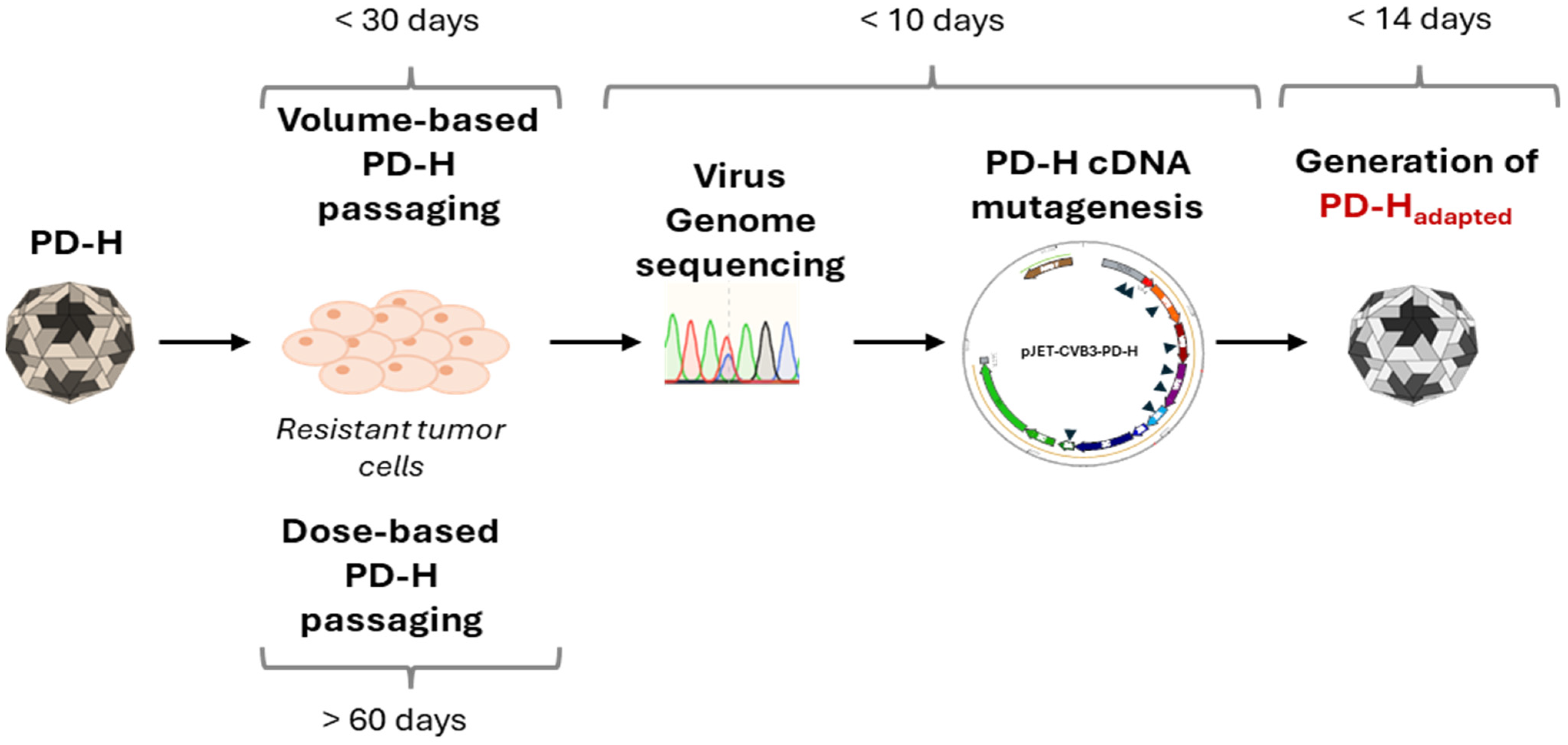 Viruses 16 01958 g005