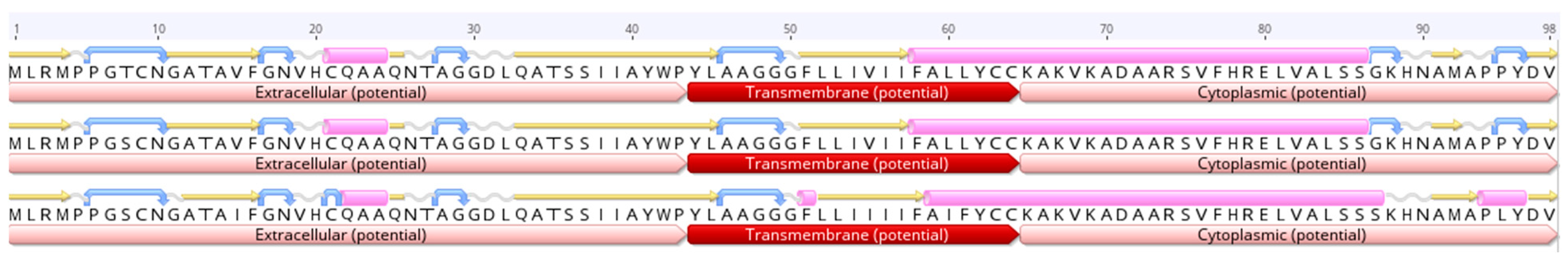 Viruses 16 01966 g005
