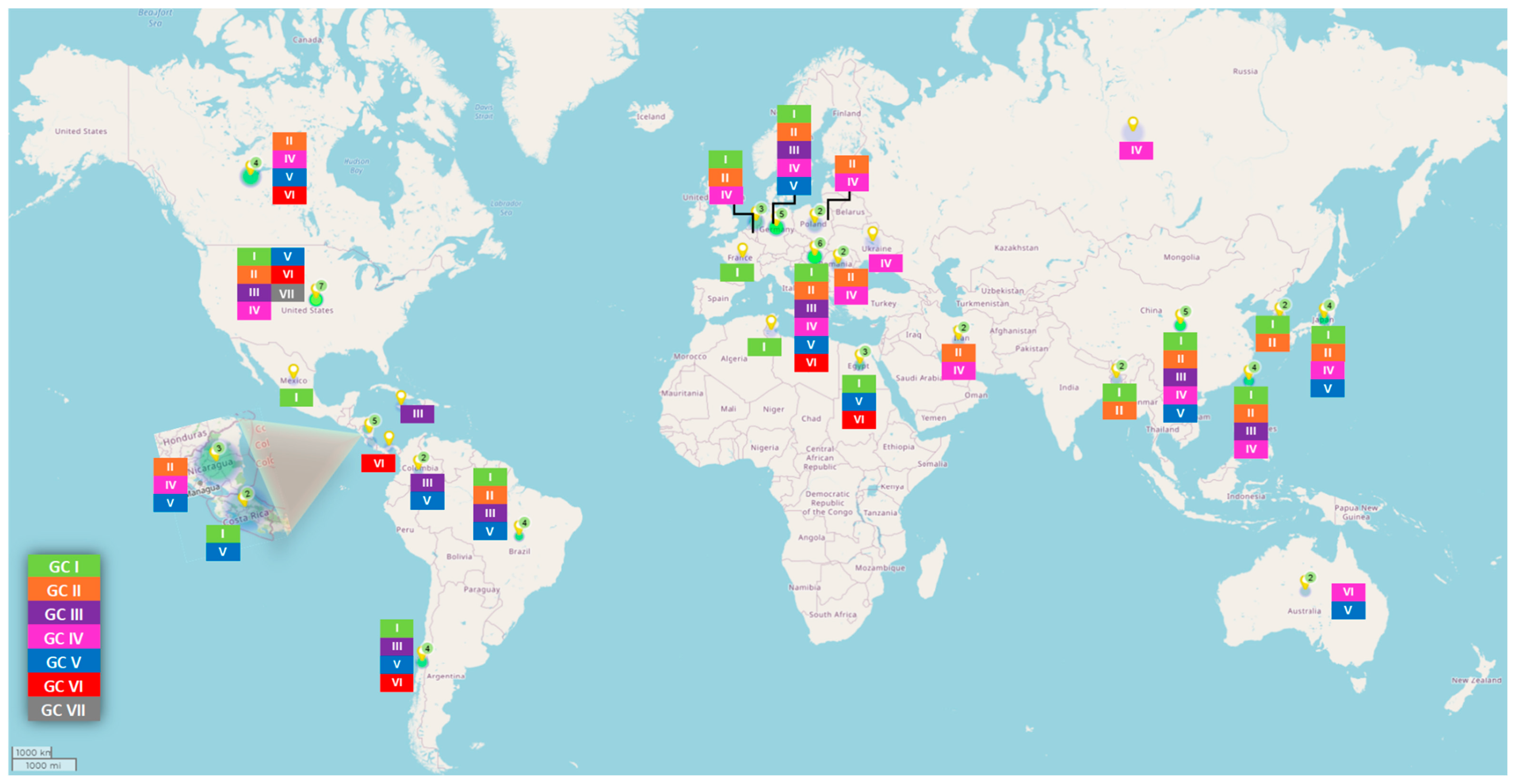 Viruses 16 01966 g008