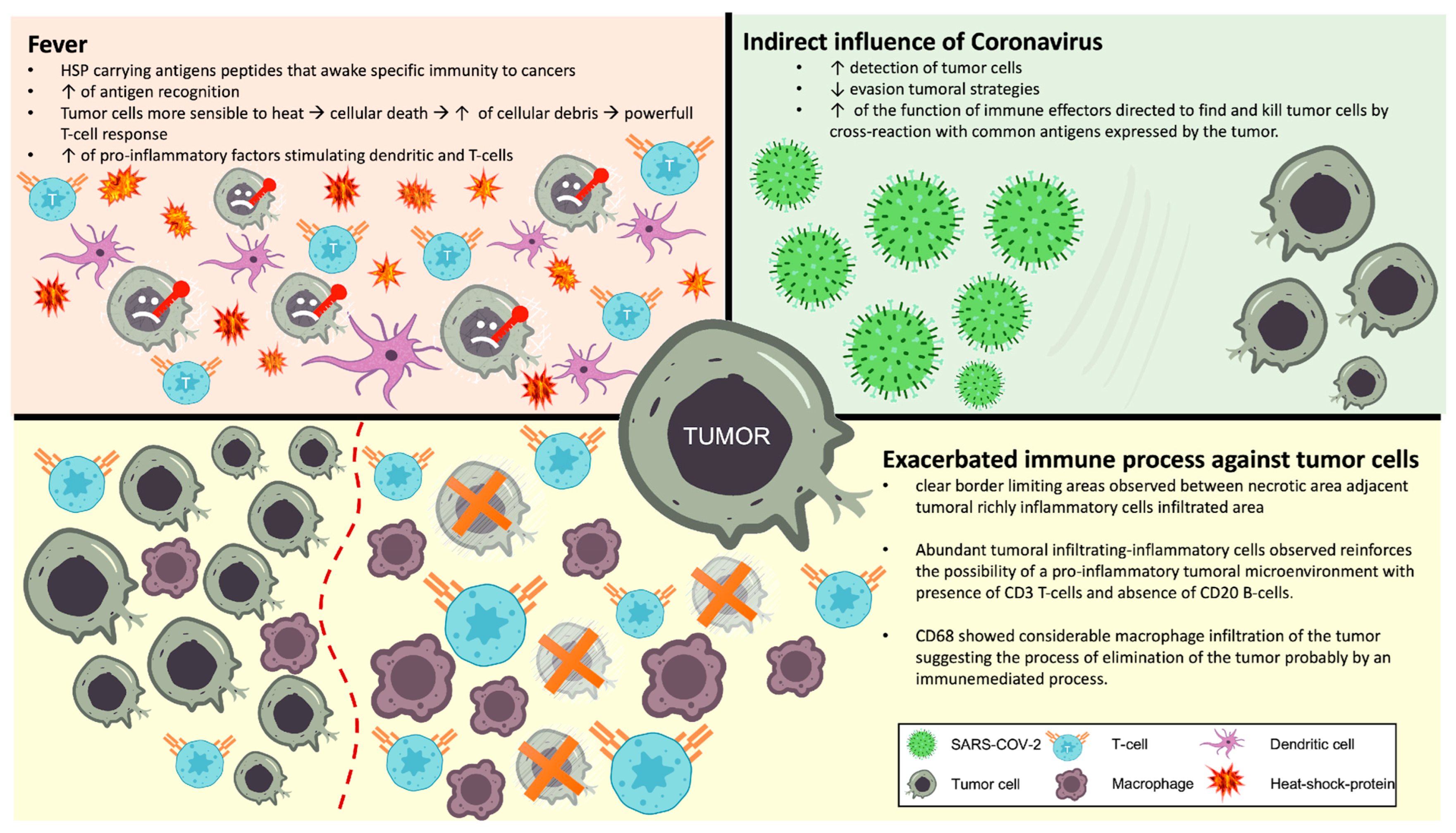Viruses 17 00010 g007 Viruses 17 00010 g007