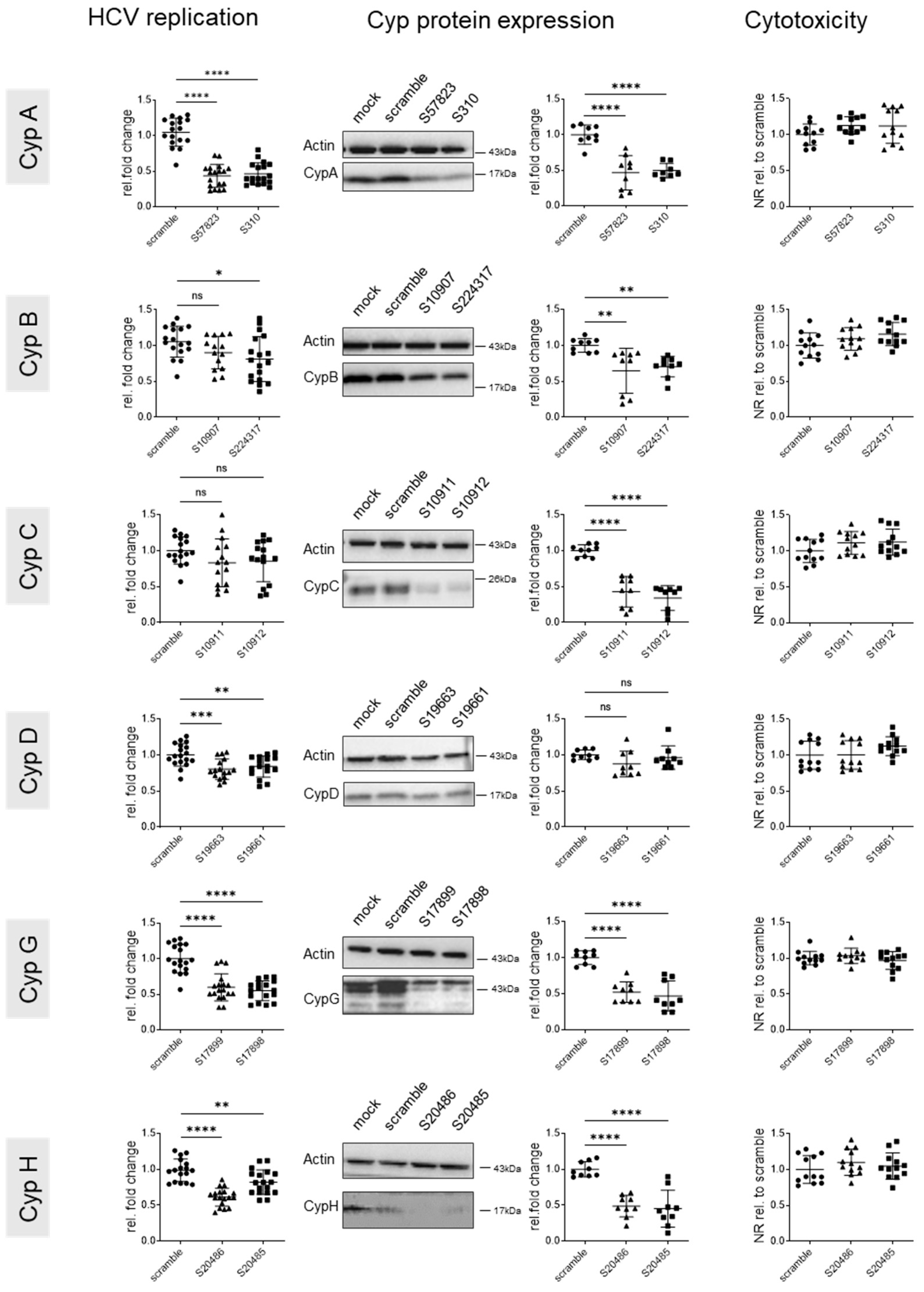 Viruses 17 00011 g002 Viruses 17 00011 g002