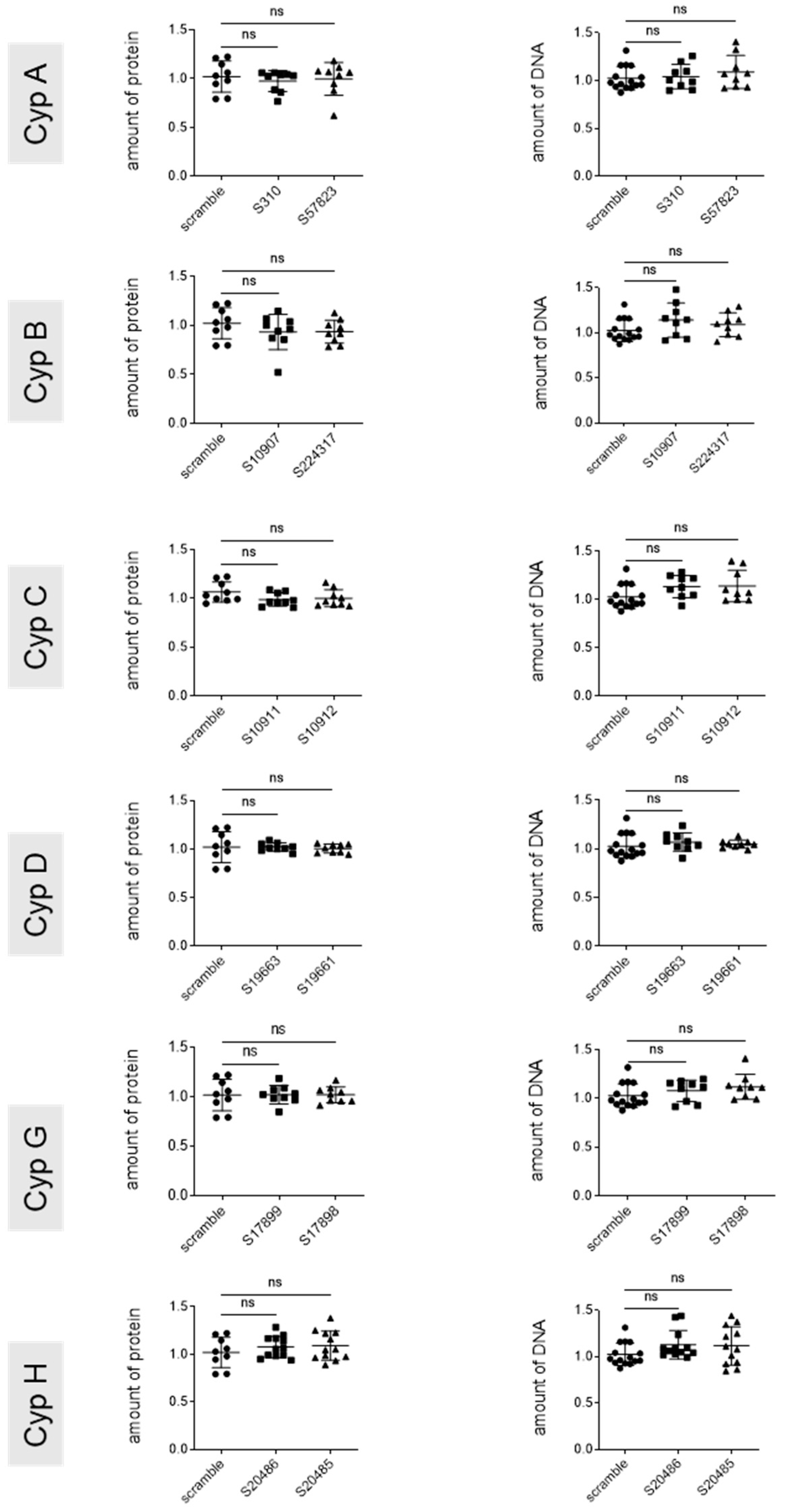 Viruses 17 00011 g007 Viruses 17 00011 g007