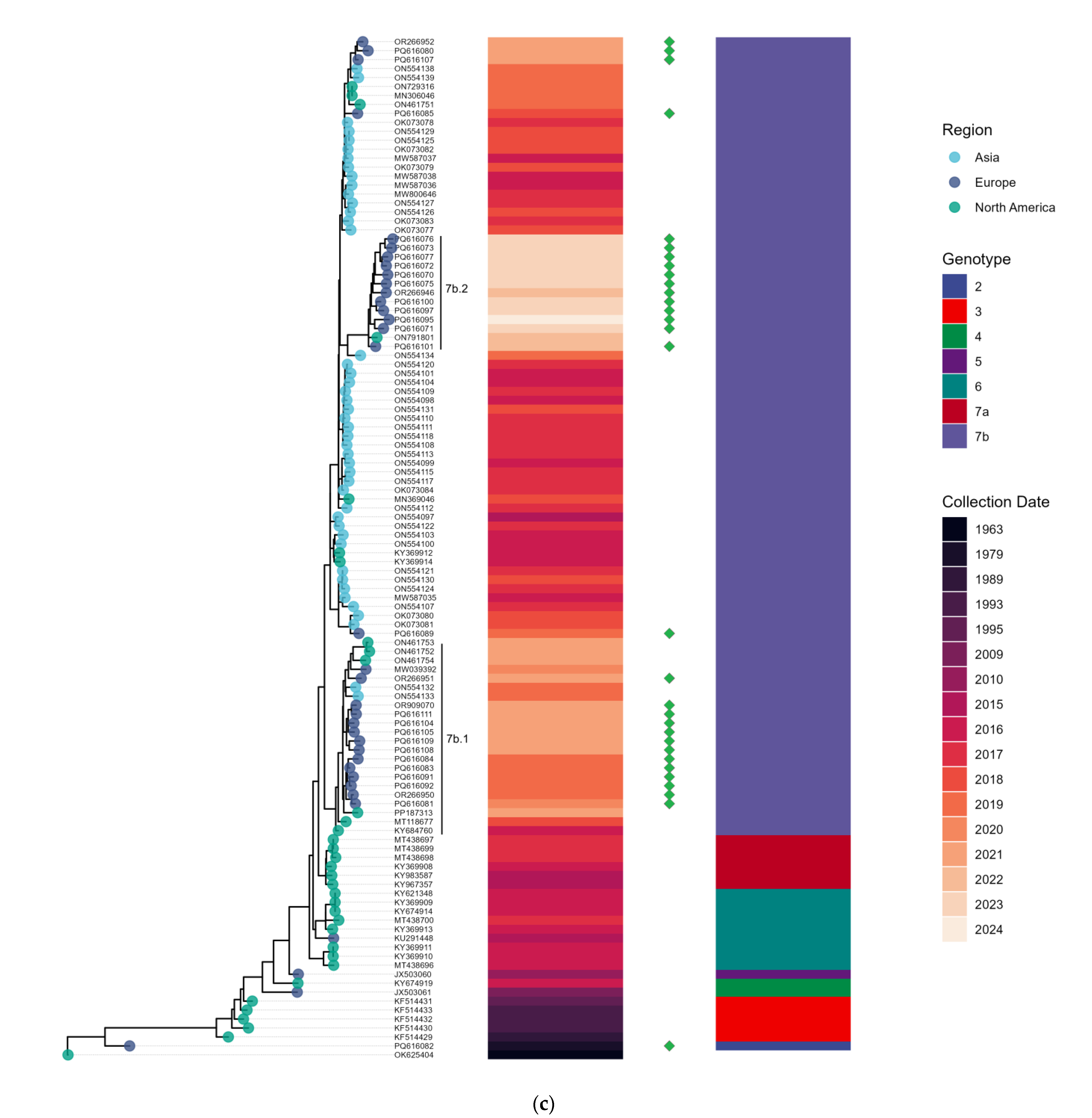 Viruses 17 00013 g005c