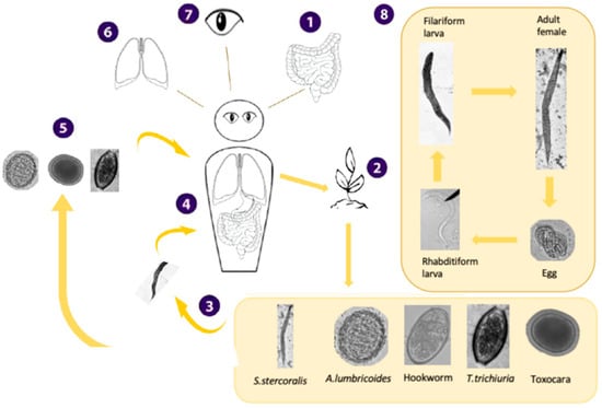 Viruses 17 00029 g0a1
