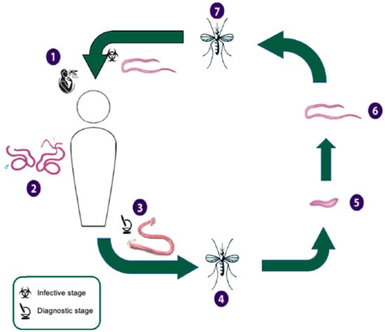 Viruses 17 00029 g0a2