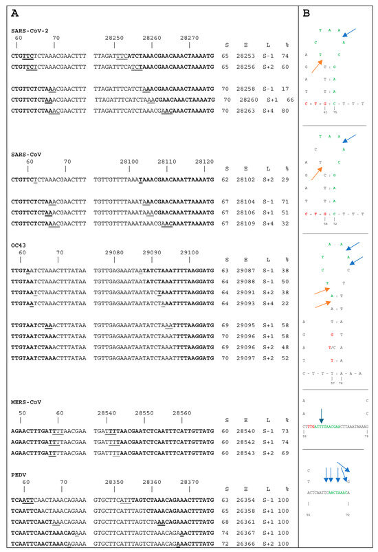 Viruses 17 00036 g002