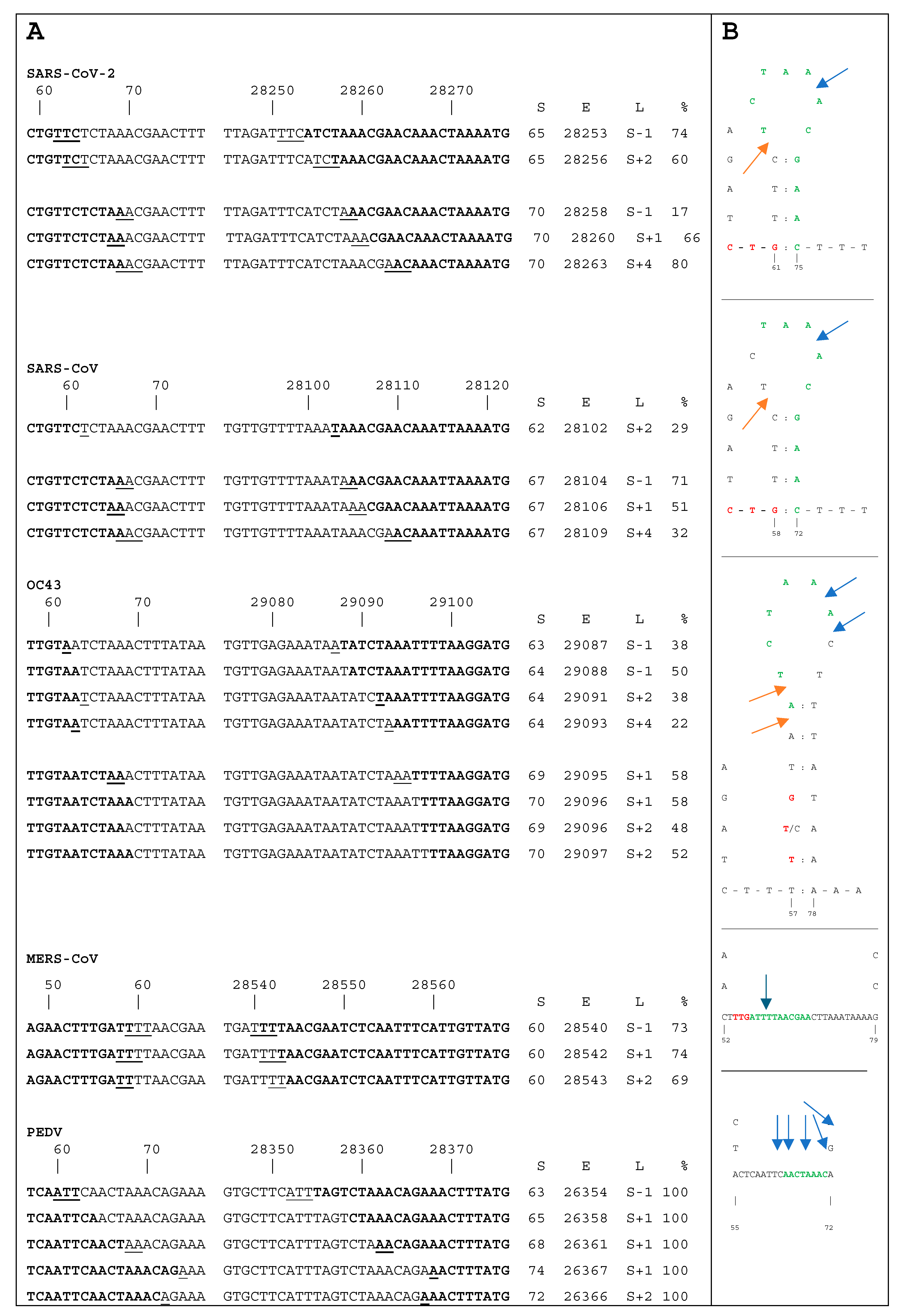 Viruses 17 00036 g002