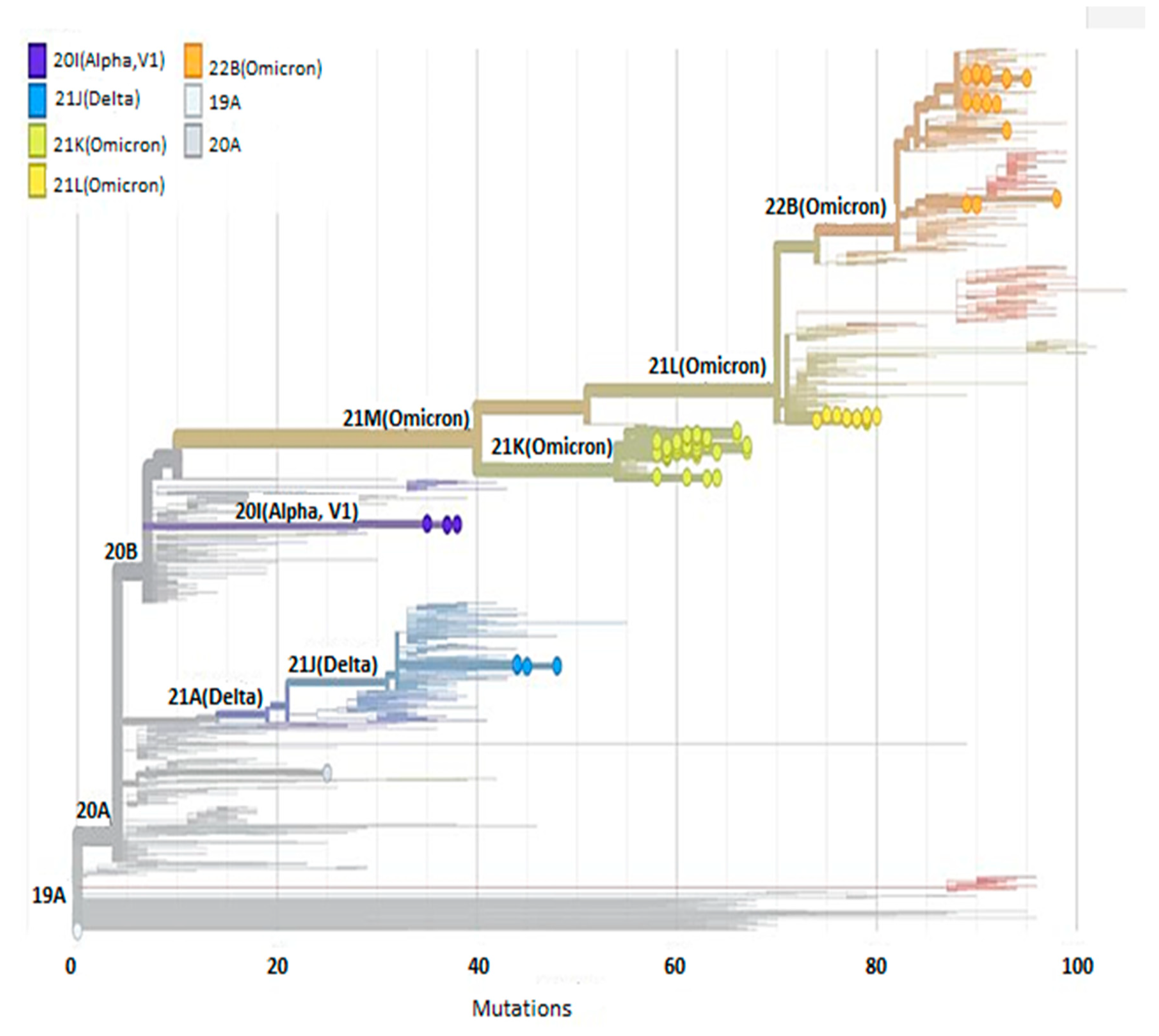 Viruses 17 00046 g003