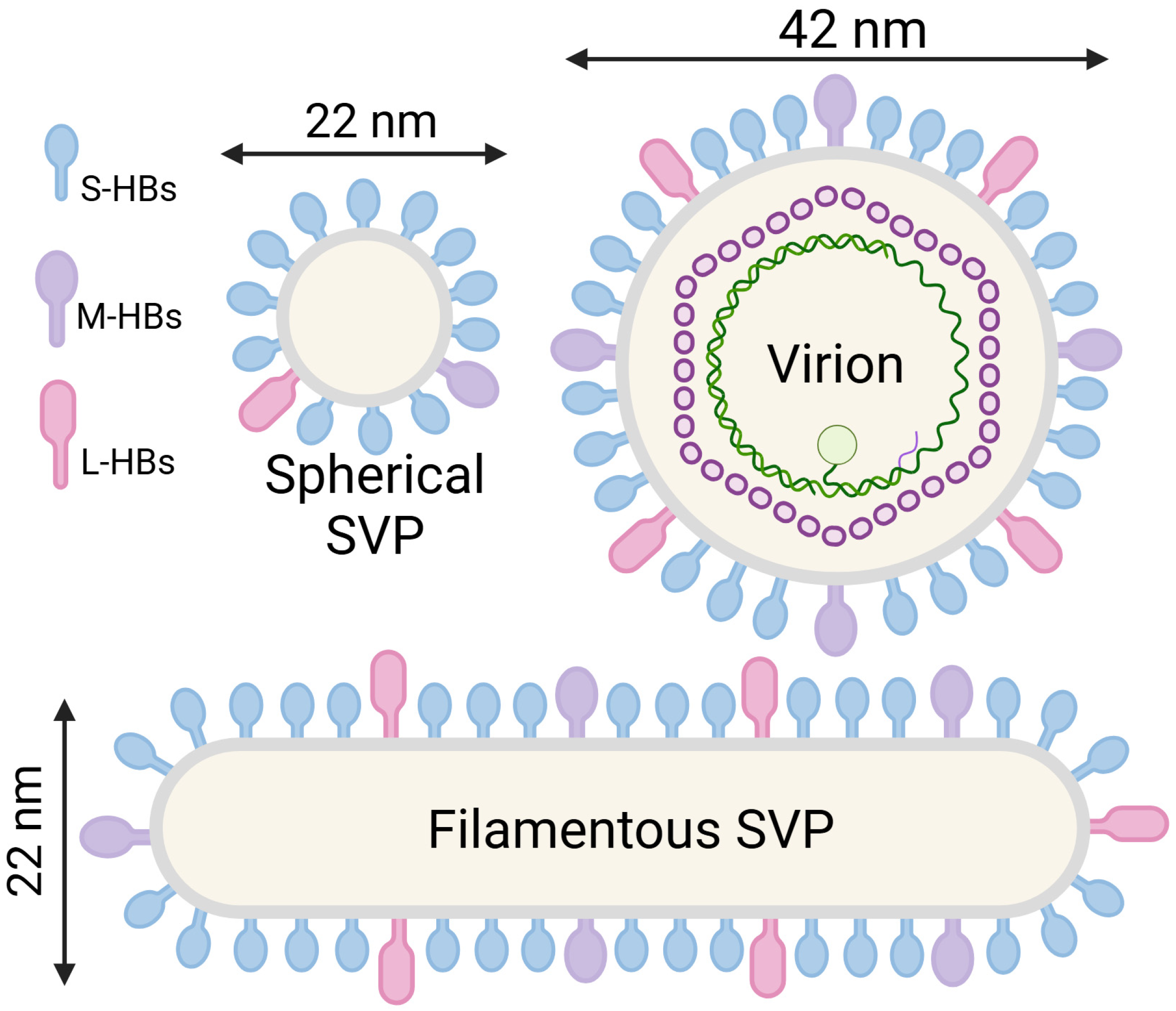 Viruses 17 00048 g001 Viruses 17 00048 g001