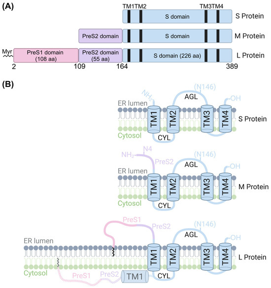 Viruses 17 00048 g002