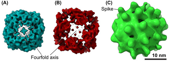 Viruses 17 00048 g003