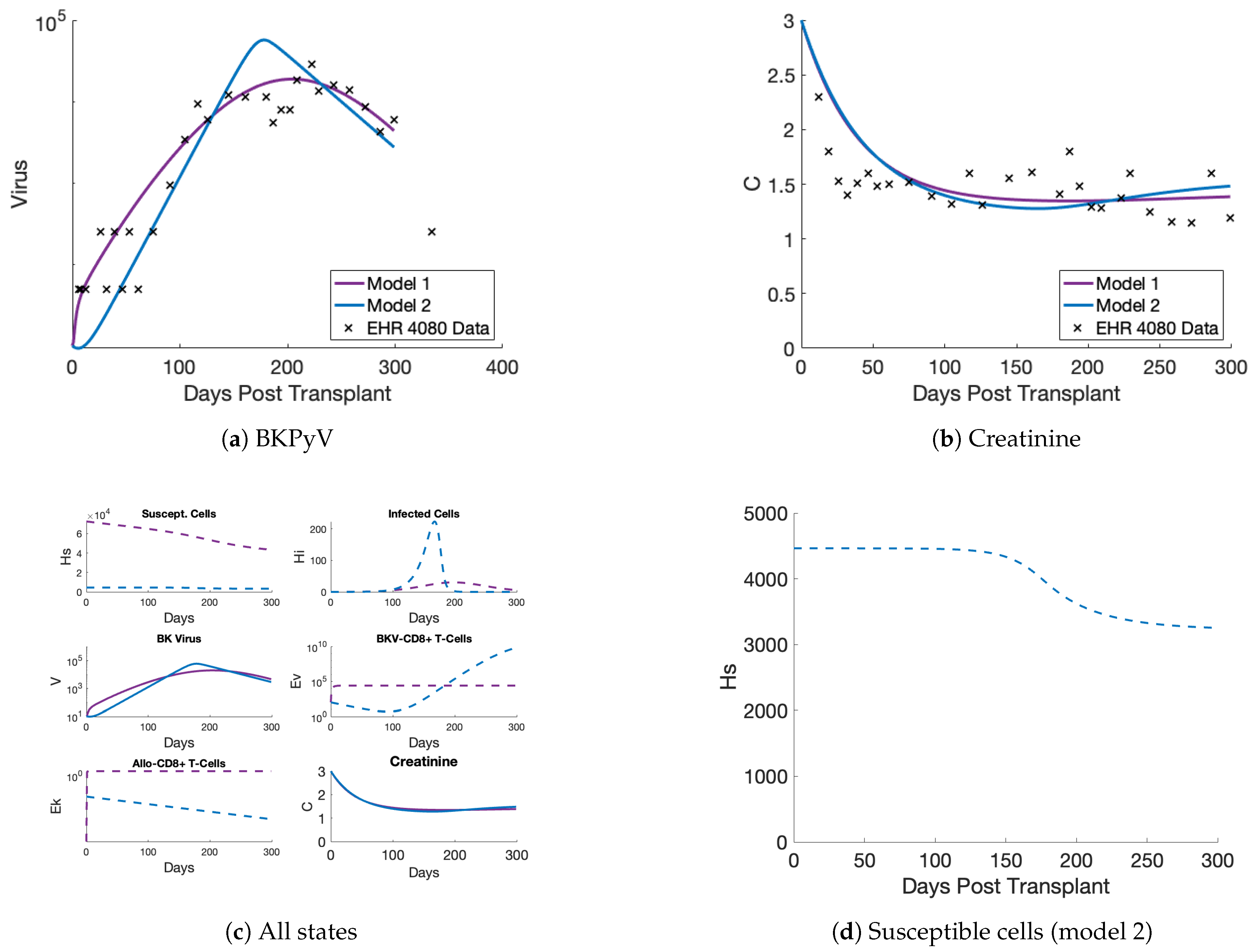 Viruses 17 00050 g003 Viruses 17 00050 g003