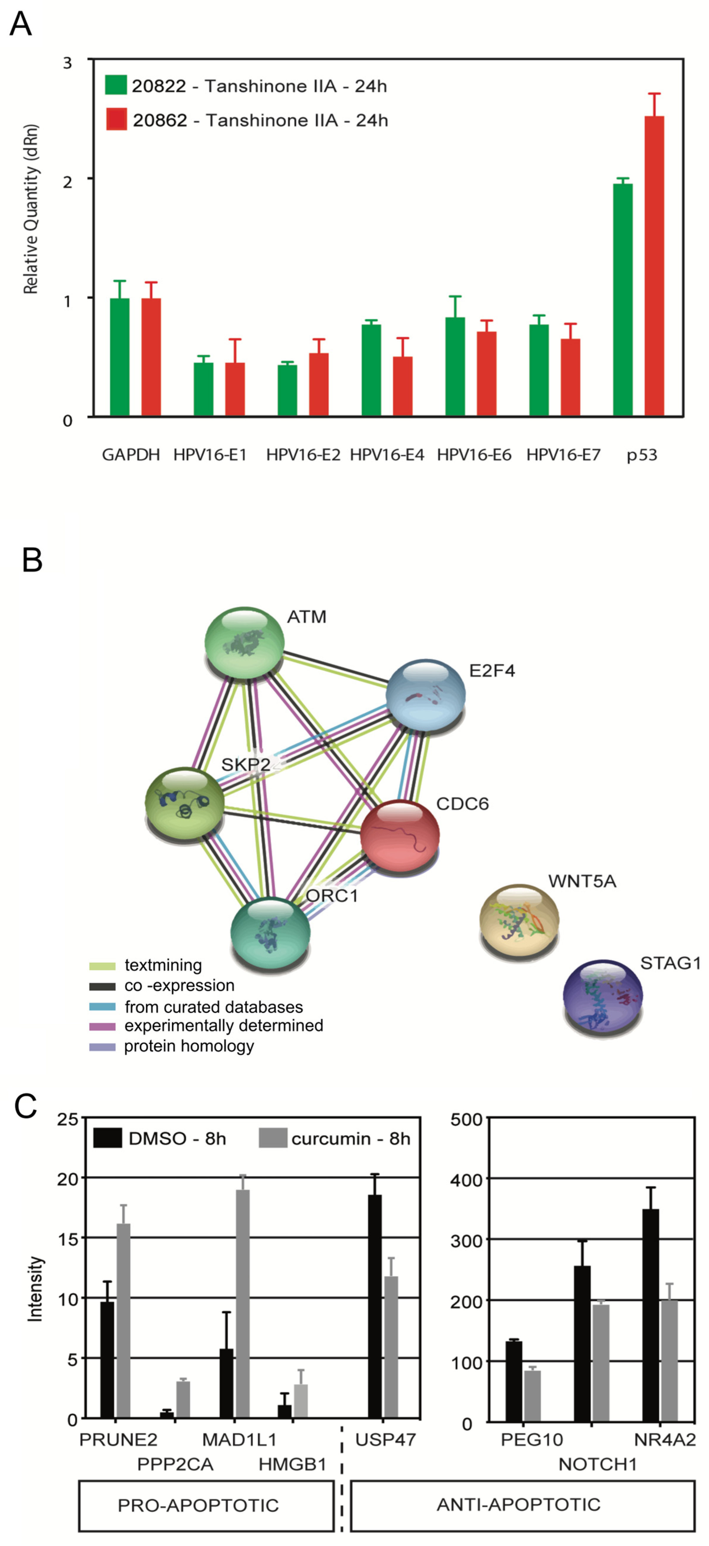 Viruses 17 00055 g005