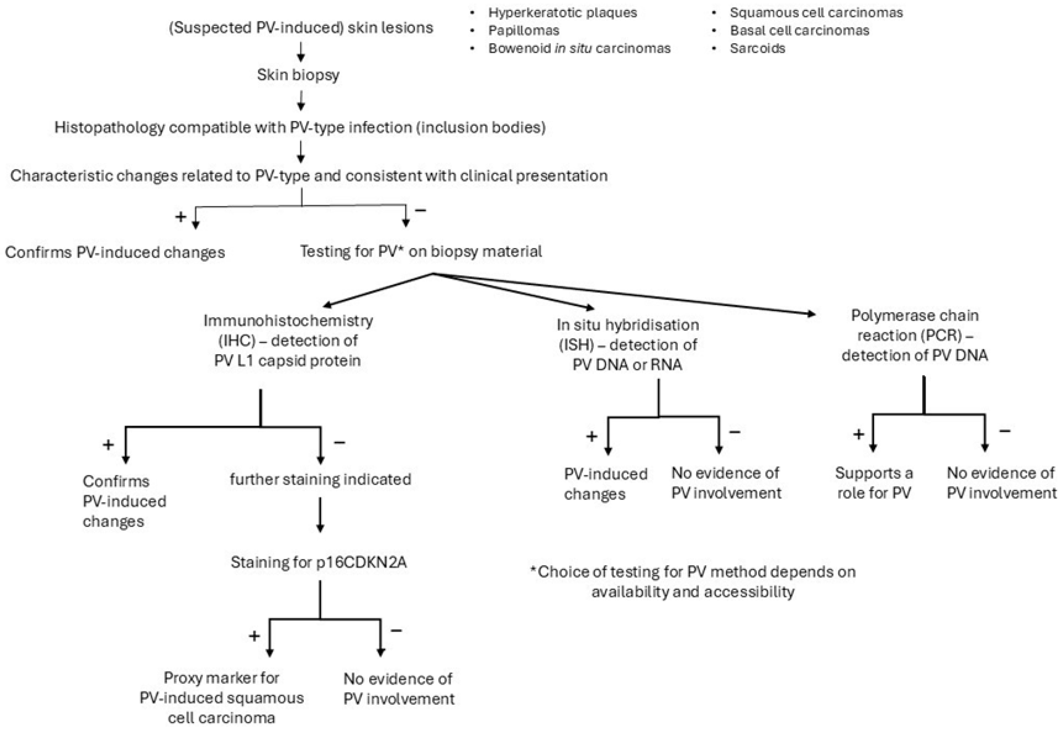Viruses 17 00059 g004