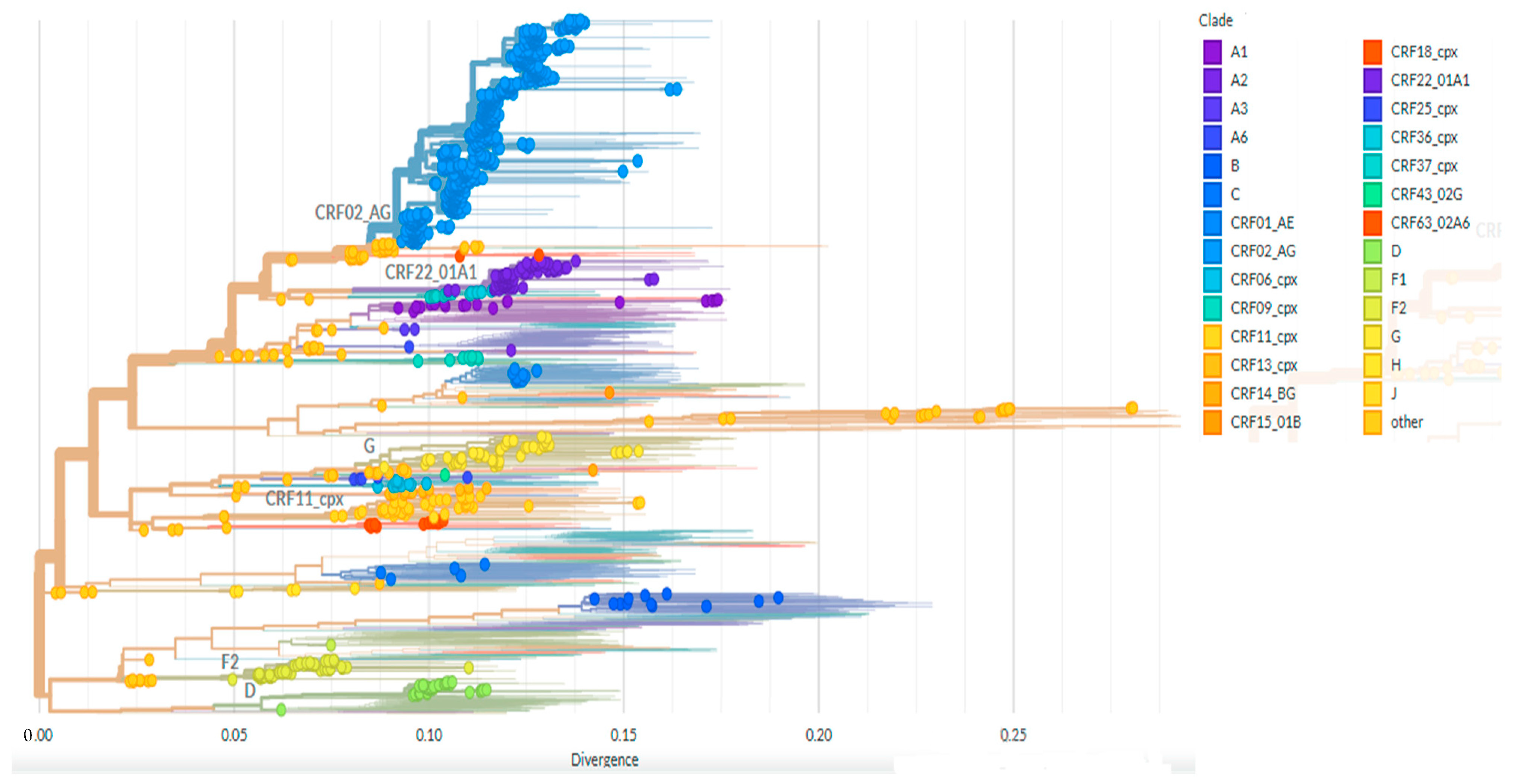 Viruses 17 00069 g001 Viruses 17 00069 g001