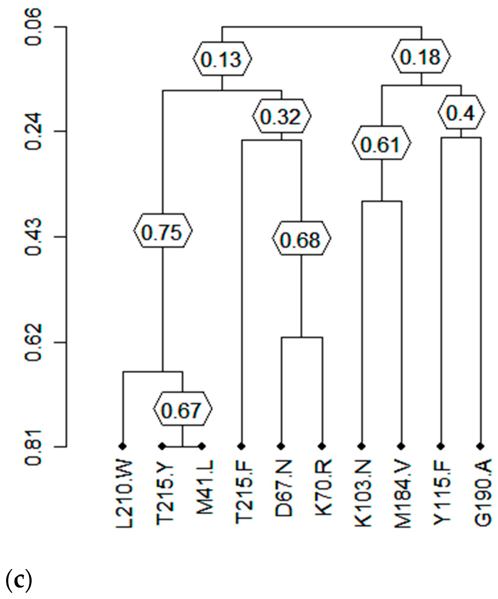 Viruses 17 00069 g004b Viruses 17 00069 g004b
