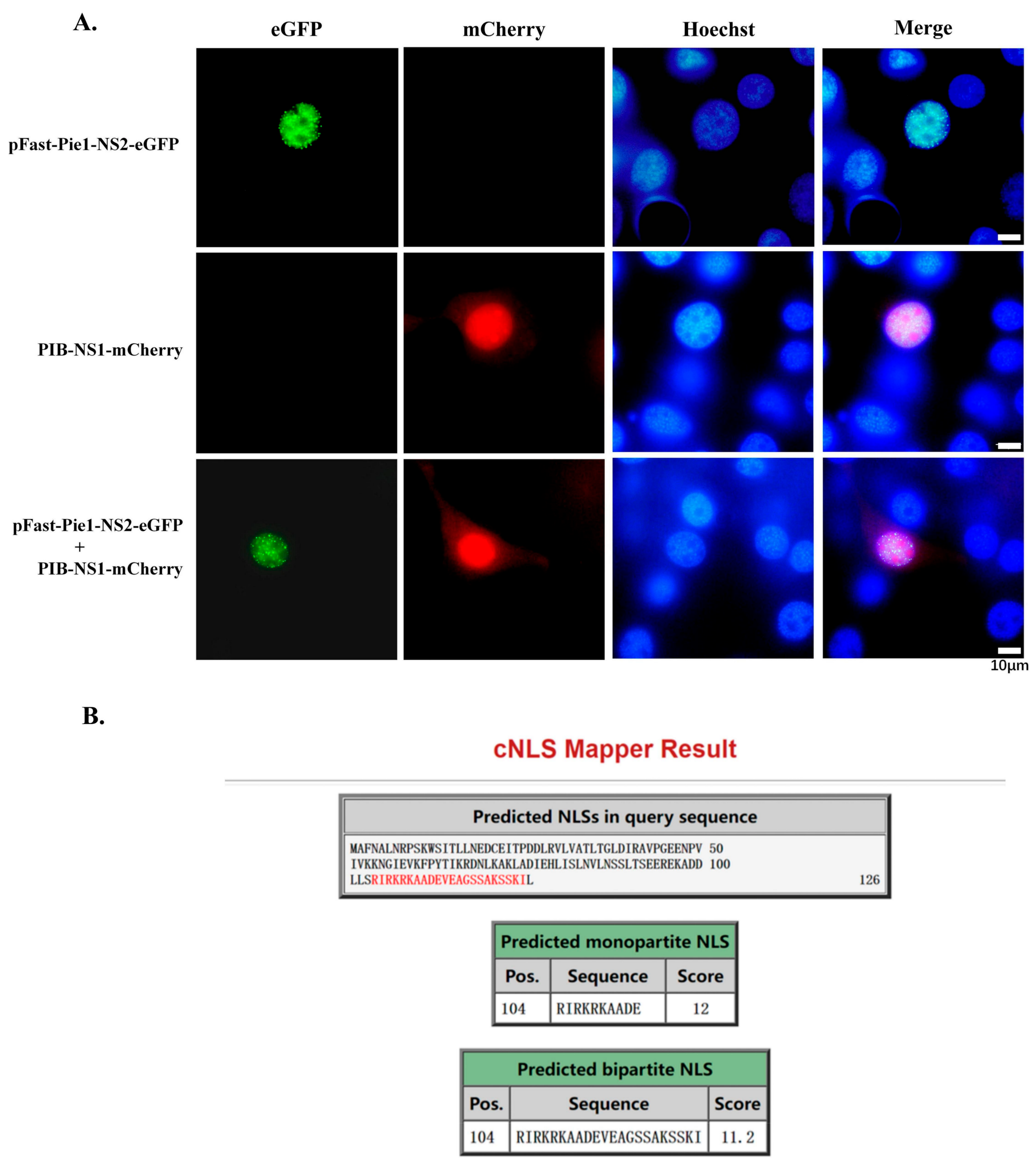 Viruses 17 00071 g002