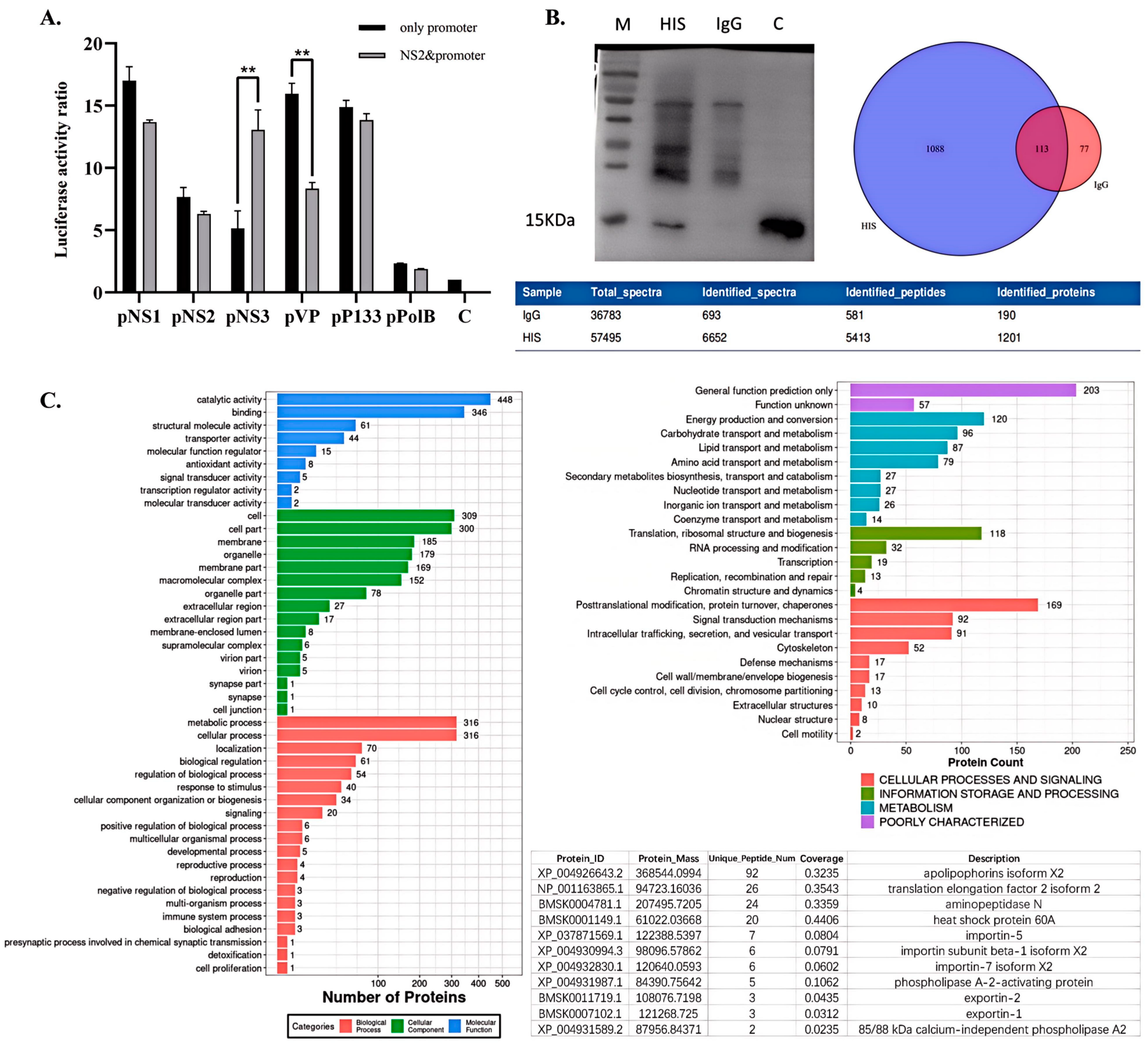 Viruses 17 00071 g004