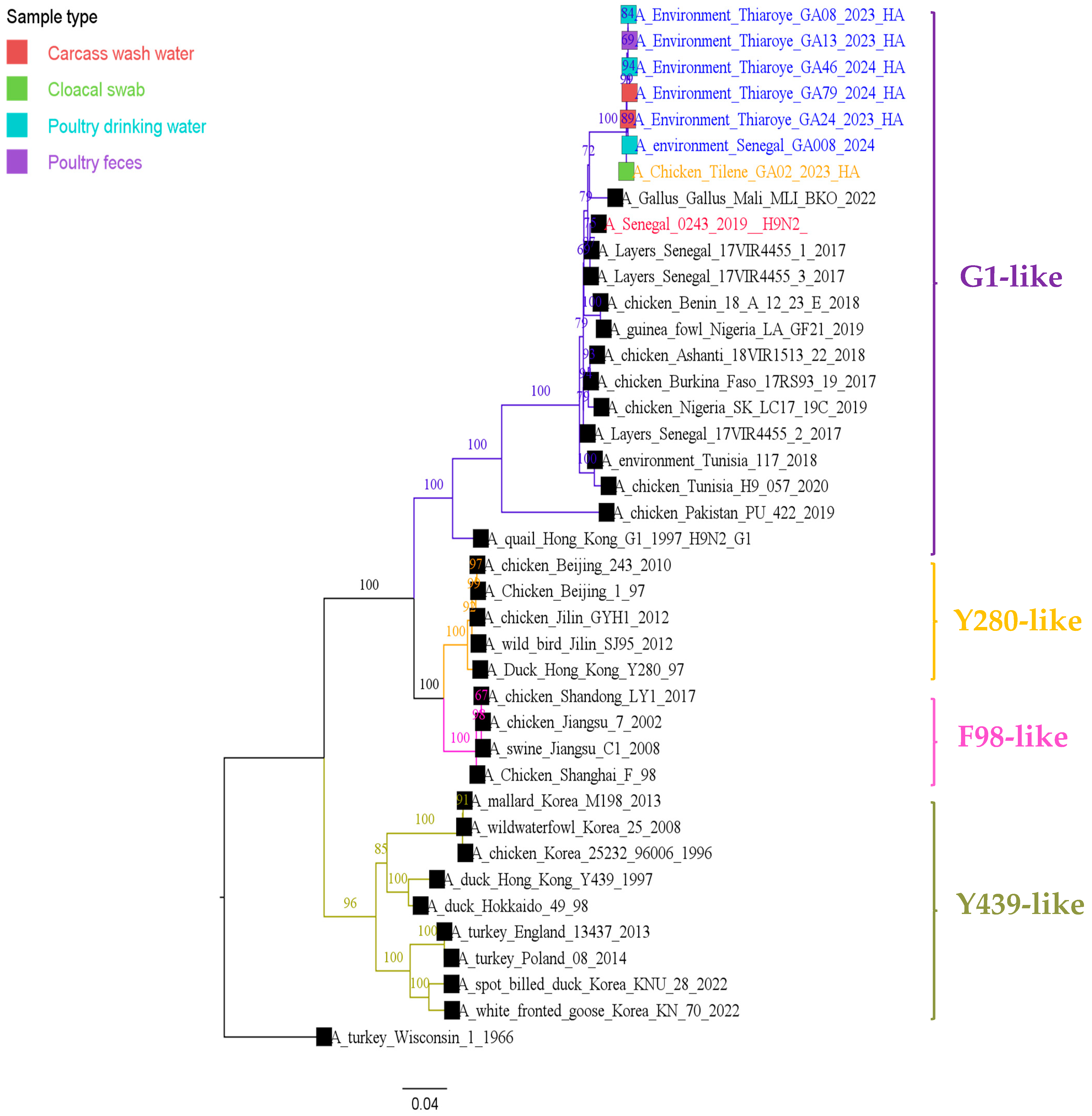 Viruses 17 00073 g002