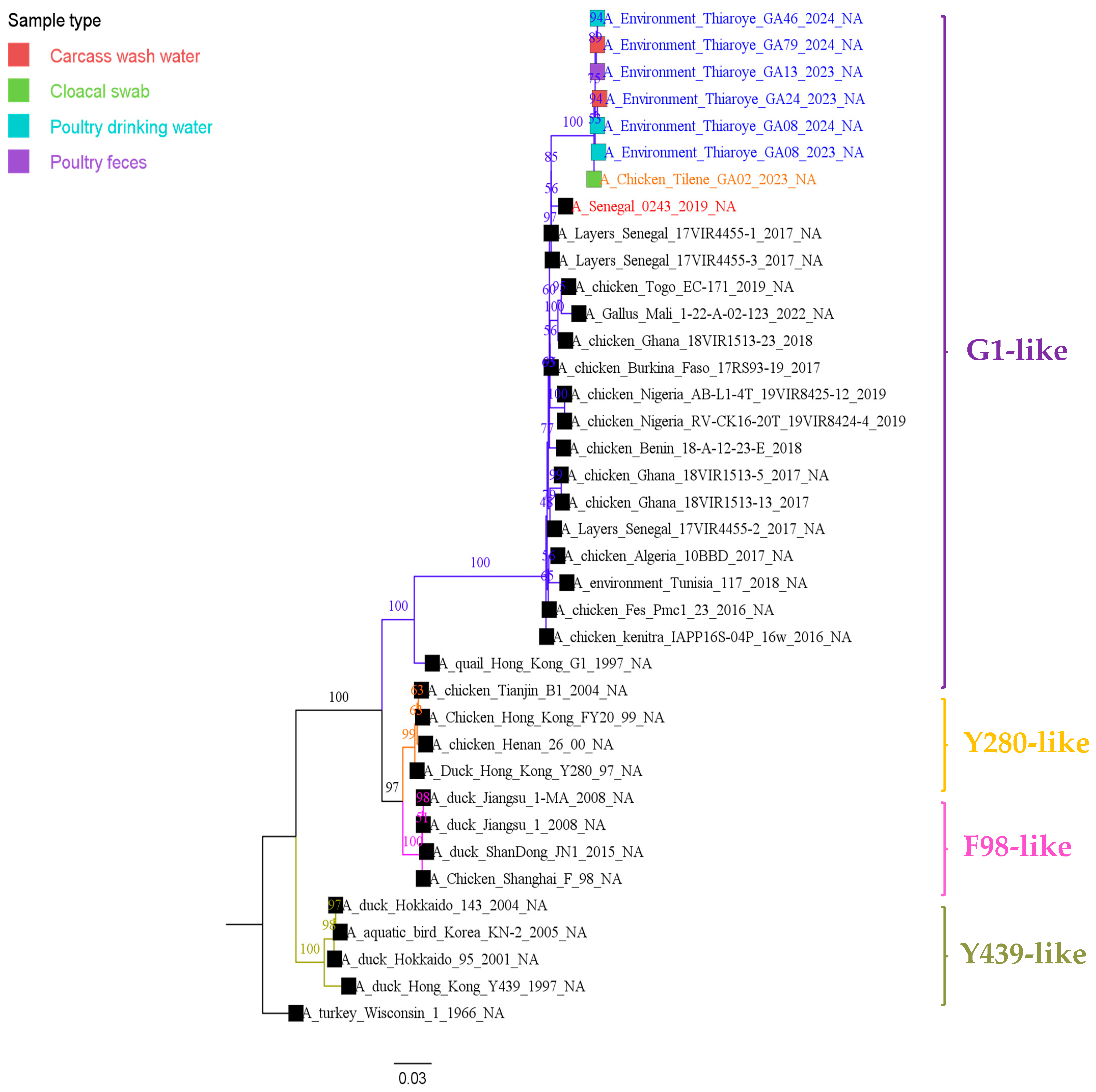 Viruses 17 00073 g003