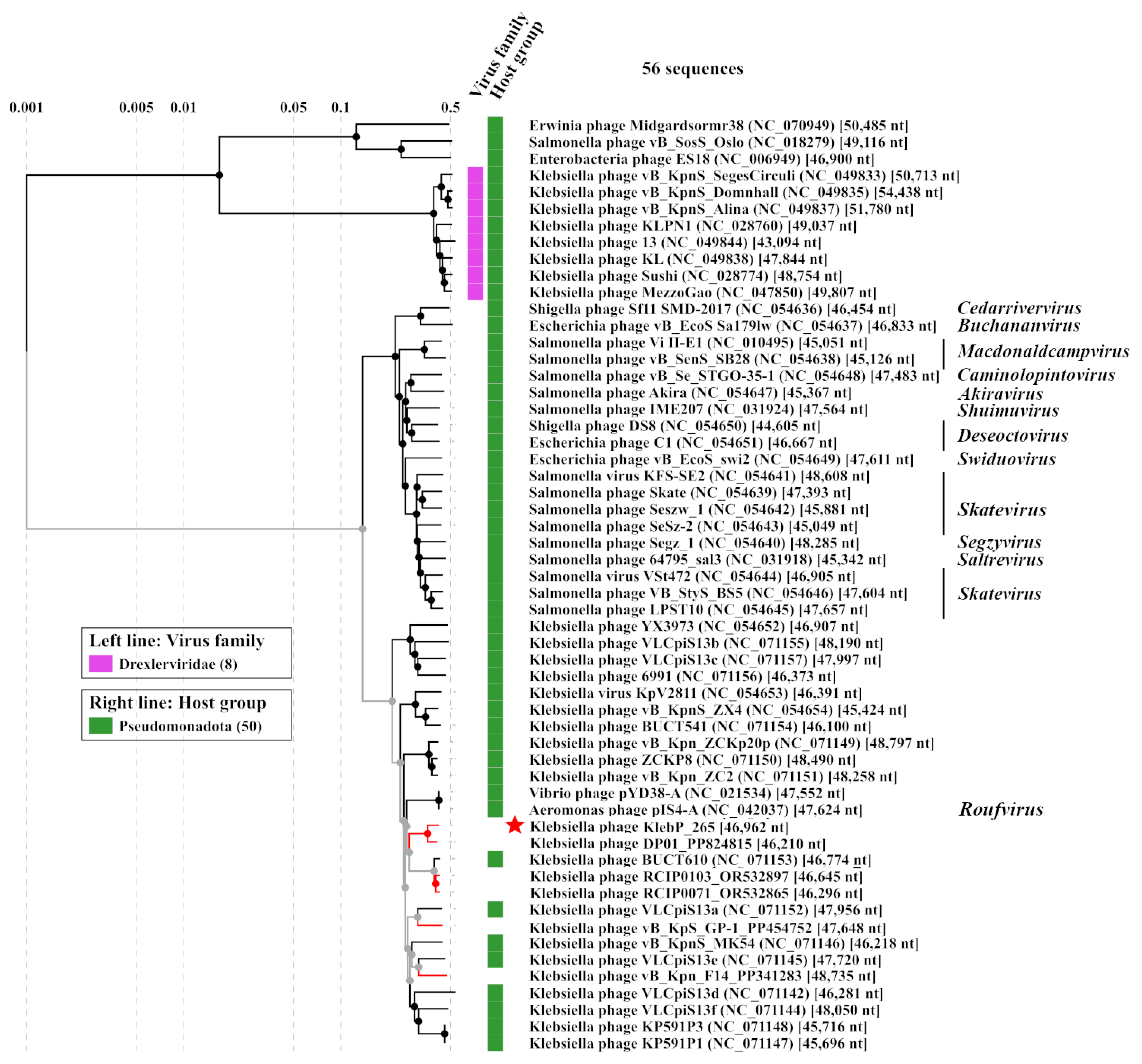 Viruses 17 00083 g005