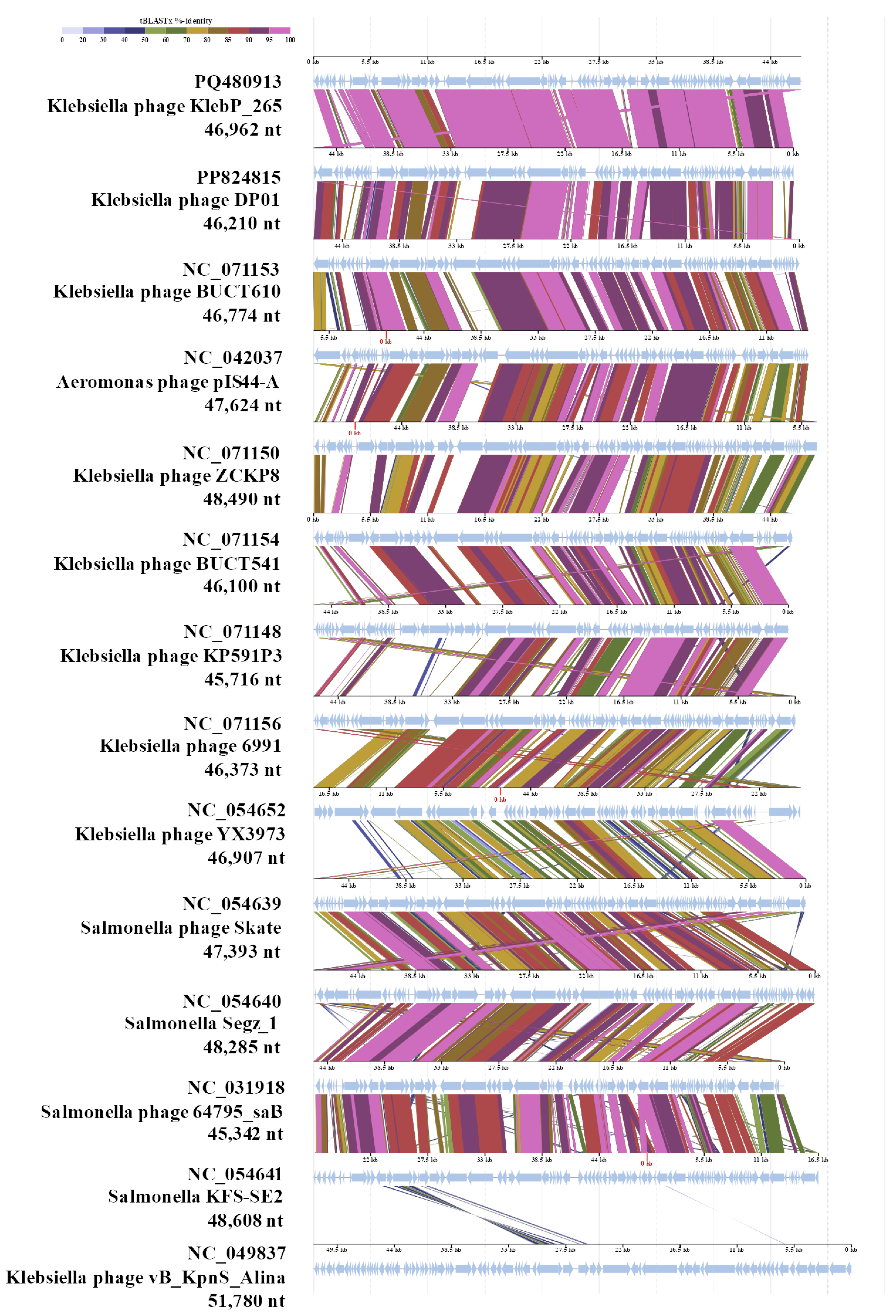 Viruses 17 00083 g006
